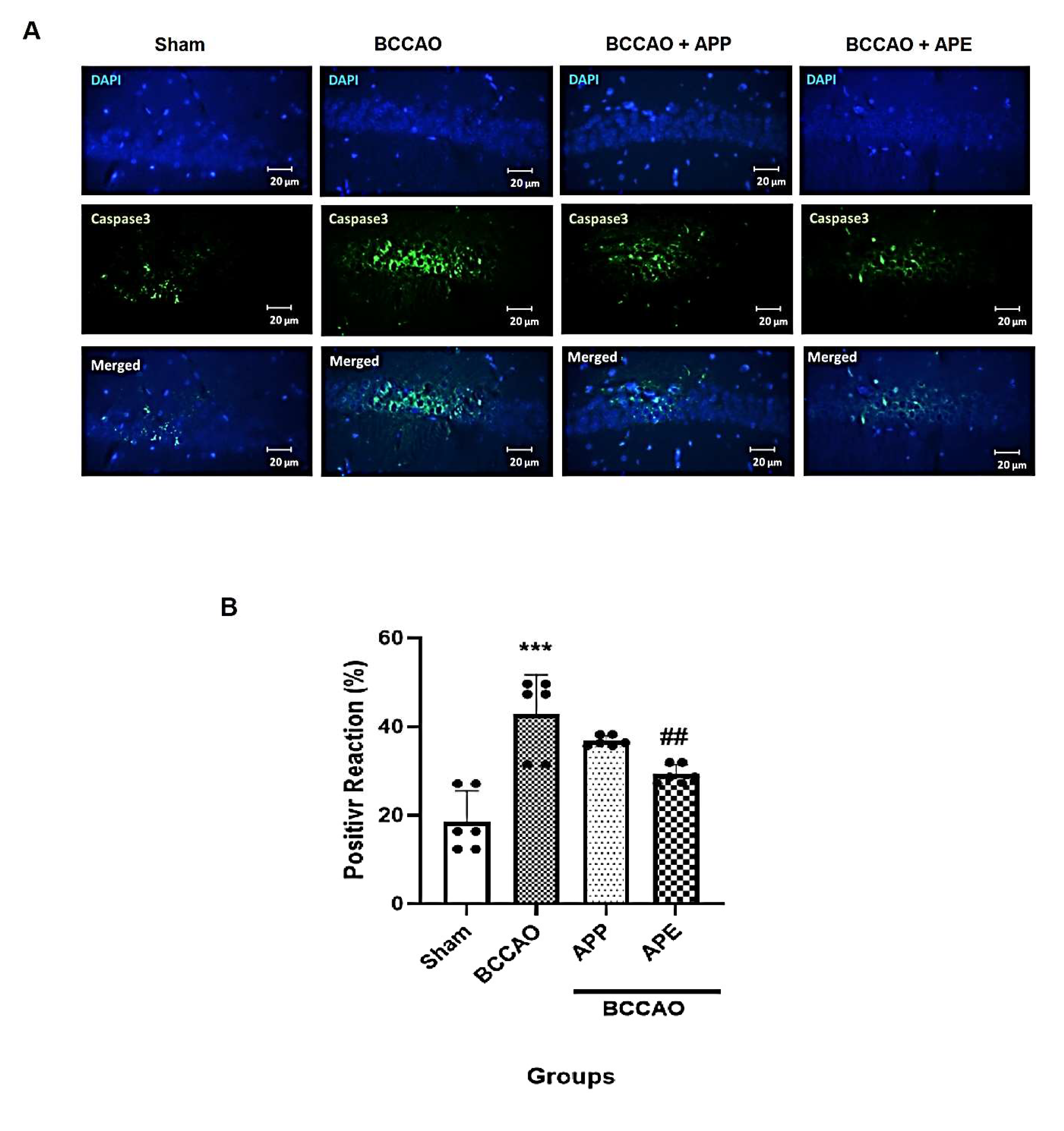 Pharmaceuticals 14 01106 g006