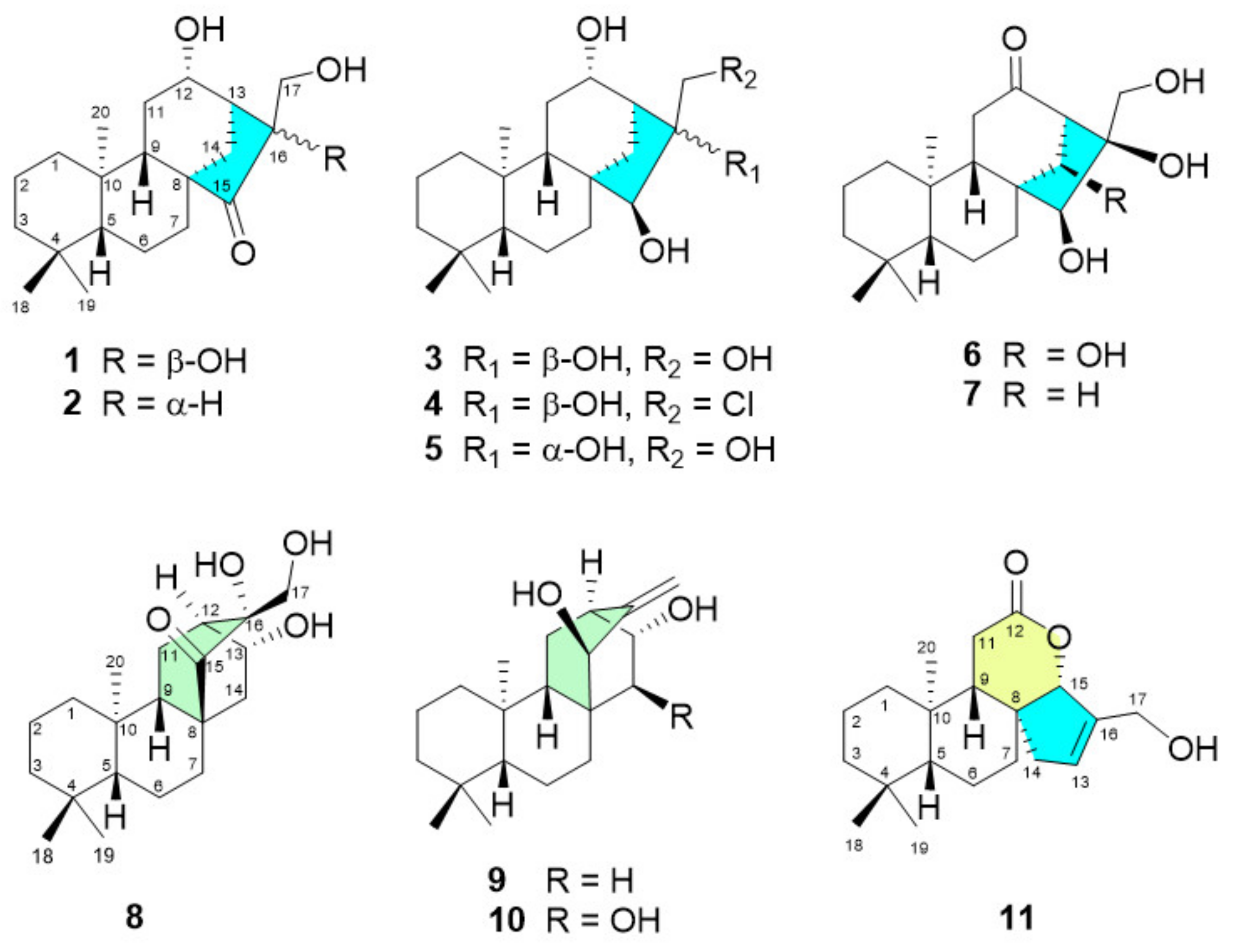 Pharmaceuticals 14 01108 g001