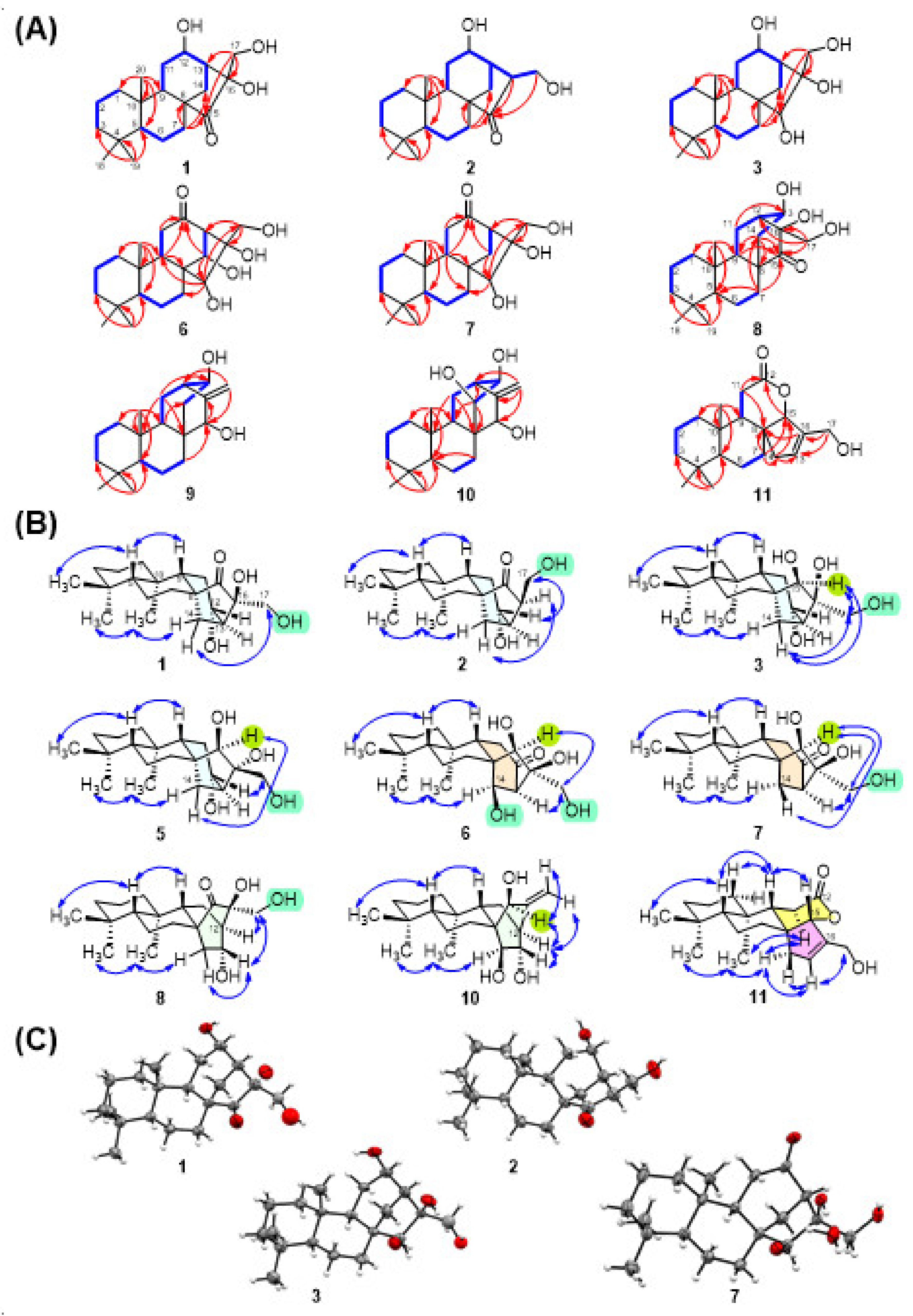 Pharmaceuticals 14 01108 g002