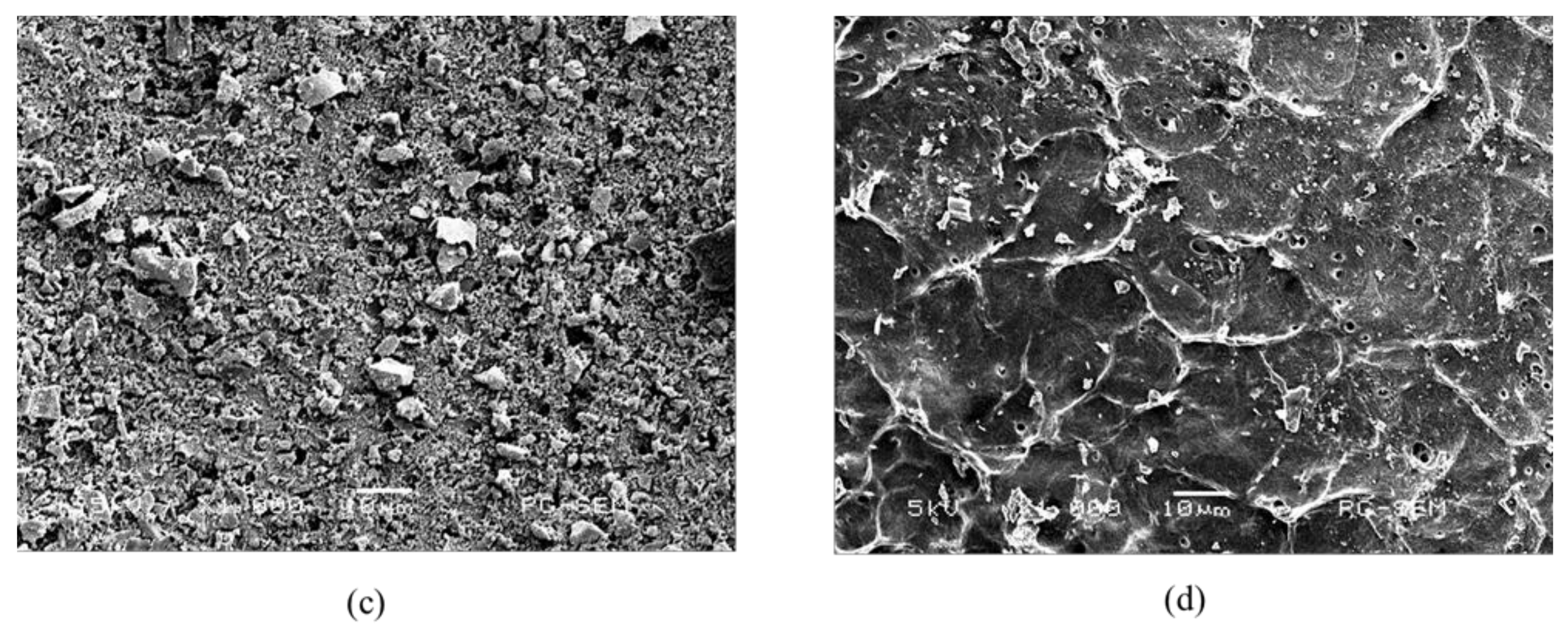 Pharmaceuticals 14 01124 g003b