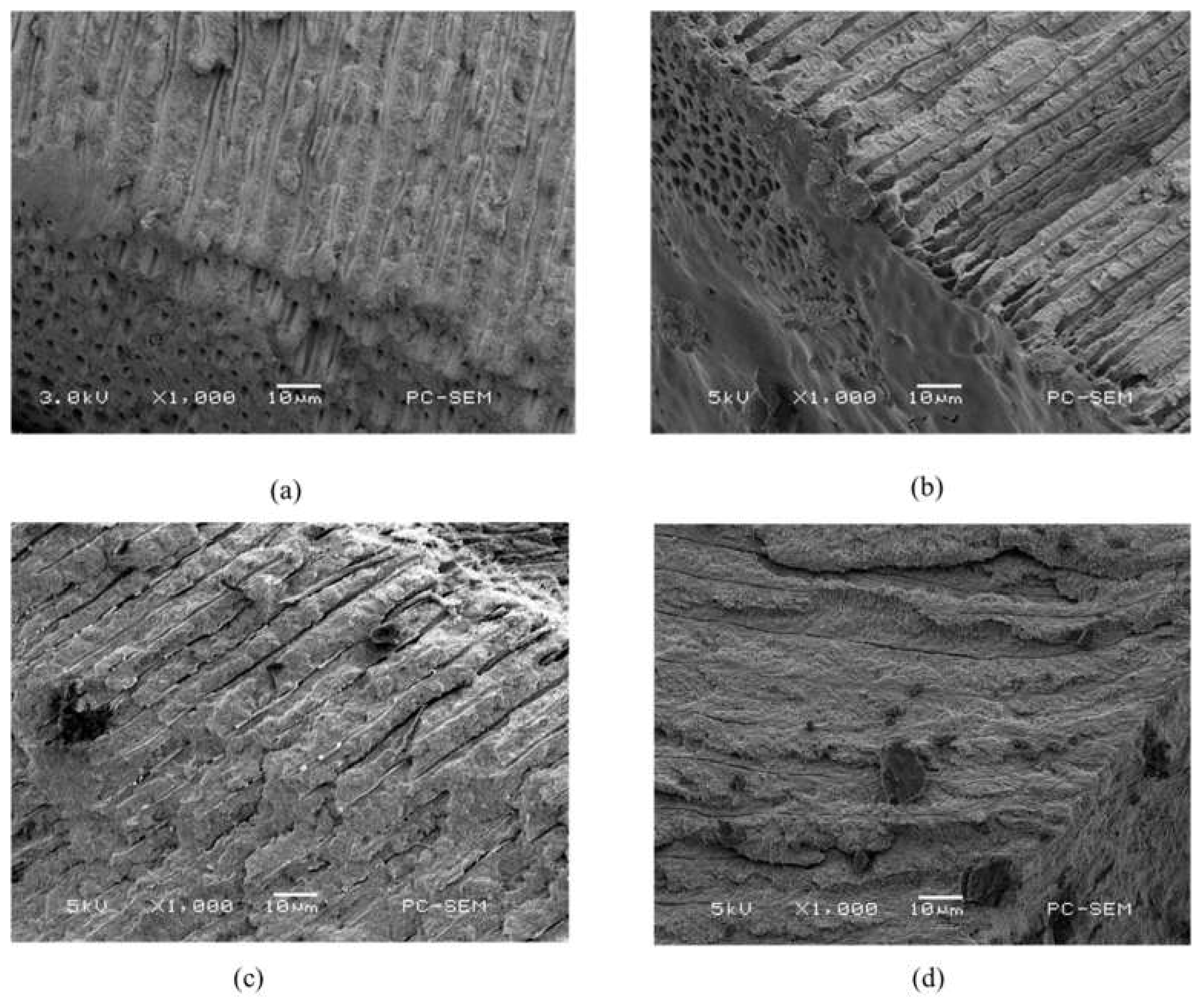 Pharmaceuticals 14 01124 g004