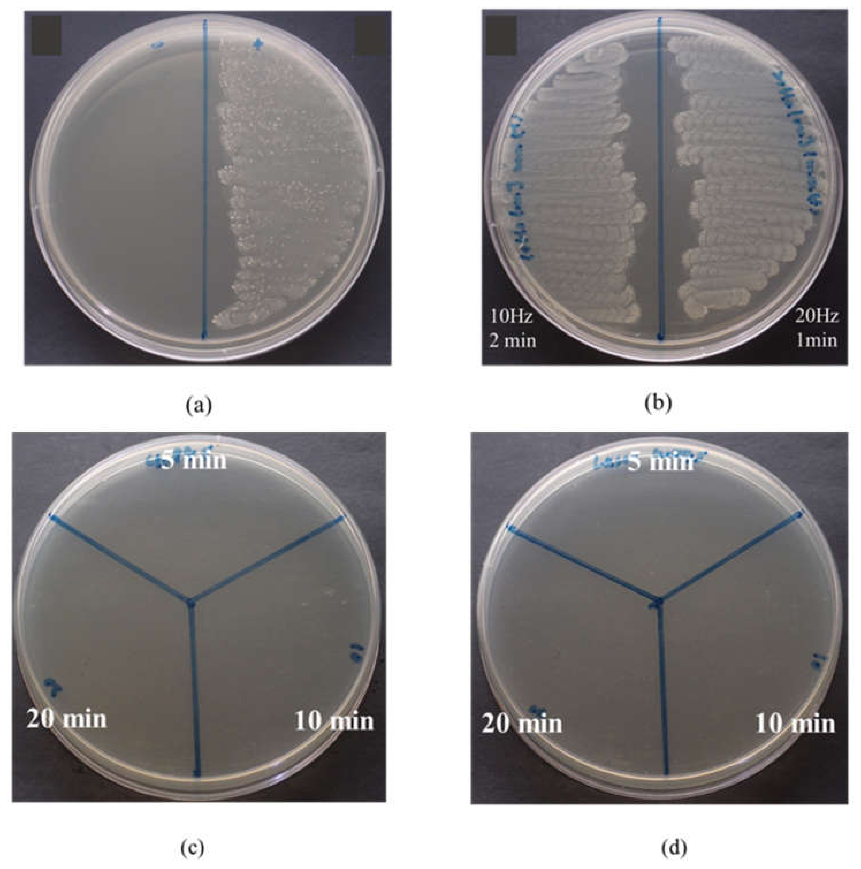 Pharmaceuticals 14 01124 g006