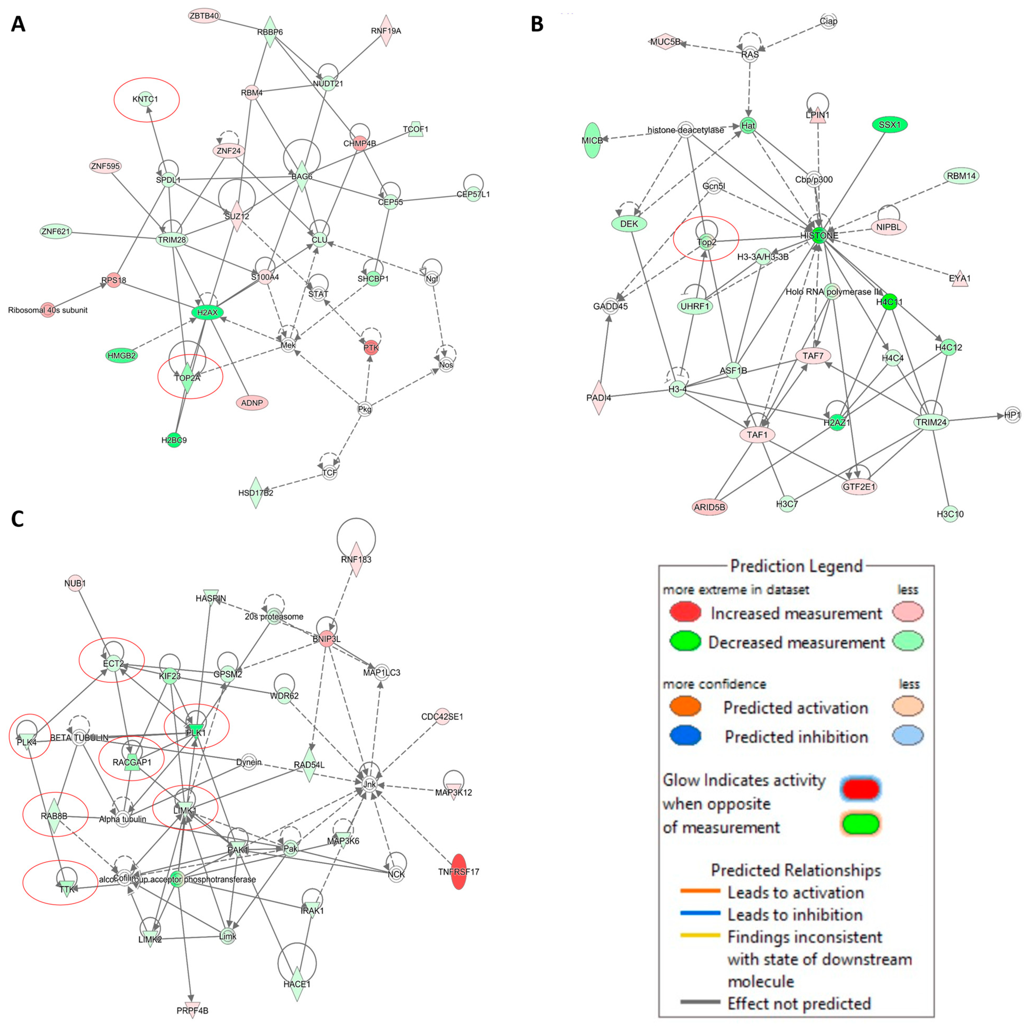 Pharmaceuticals 14 01126 g009