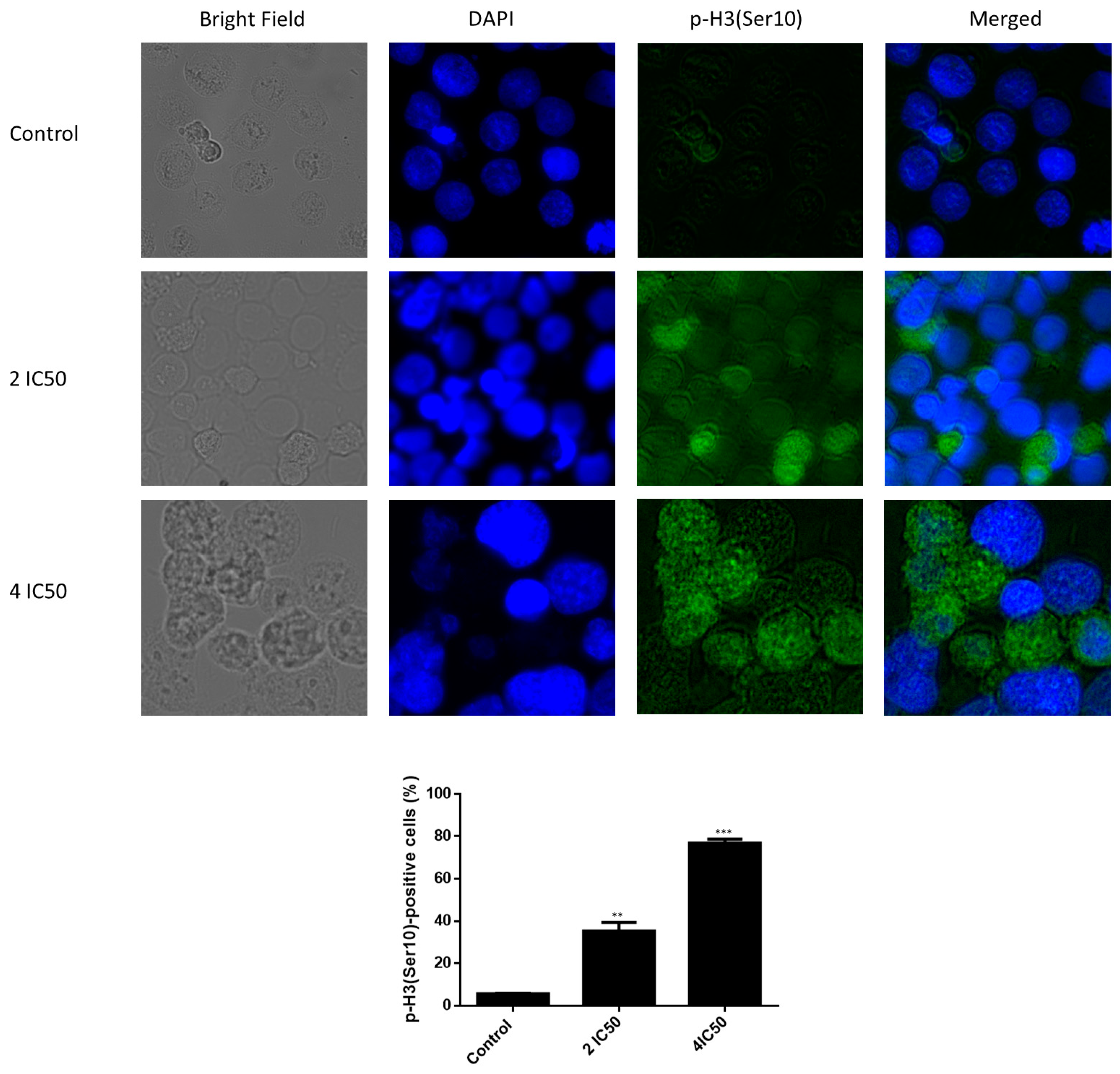 Pharmaceuticals 14 01126 g011