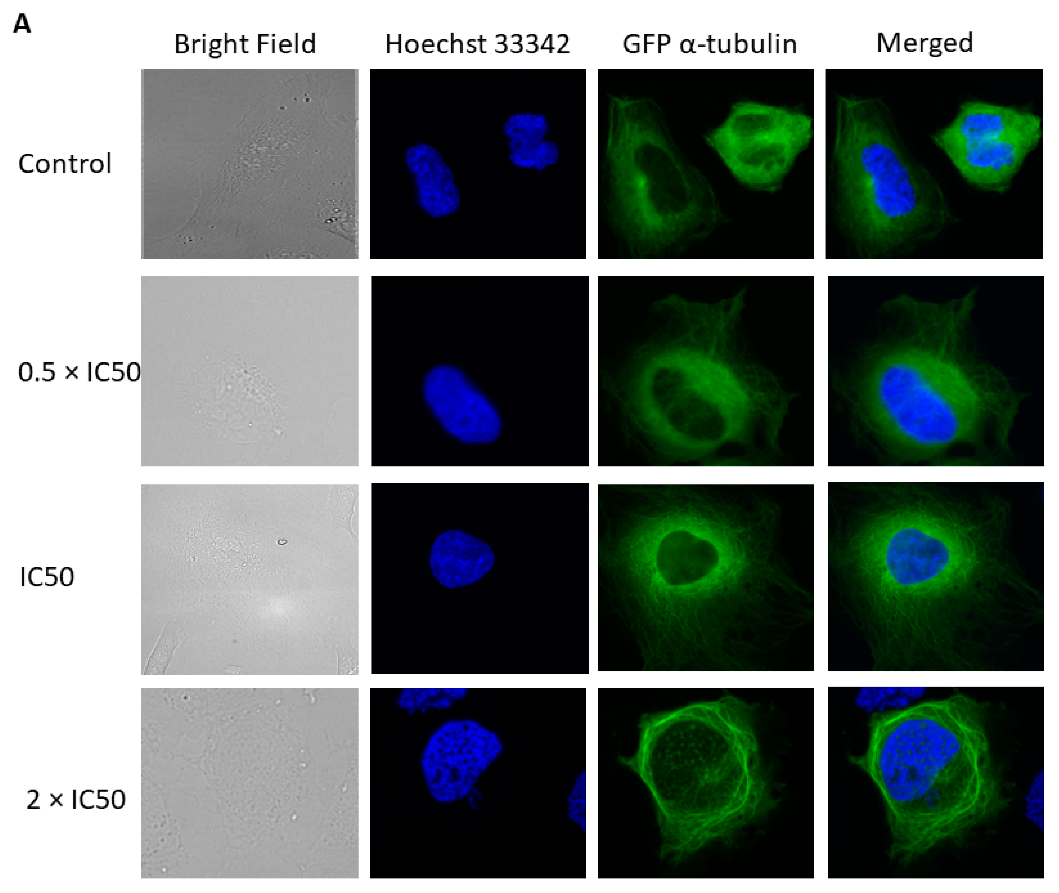 Pharmaceuticals 14 01126 g012a
