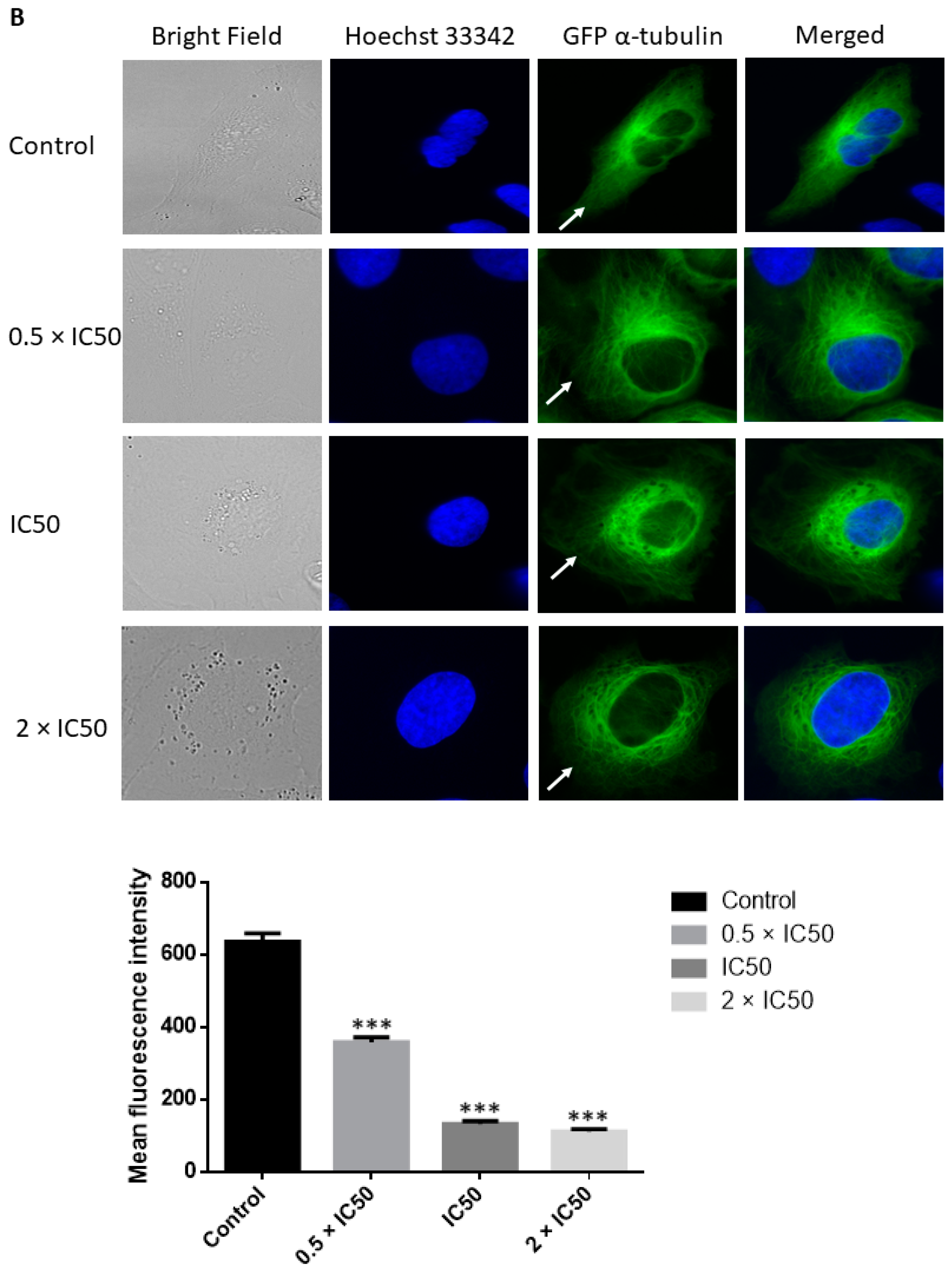 Pharmaceuticals 14 01126 g012b
