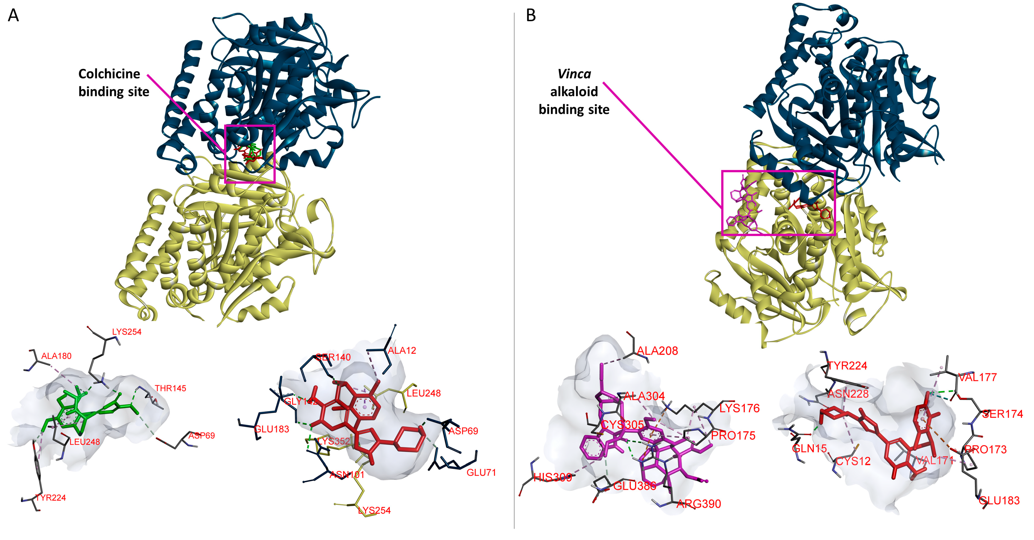 Pharmaceuticals 14 01126 g014