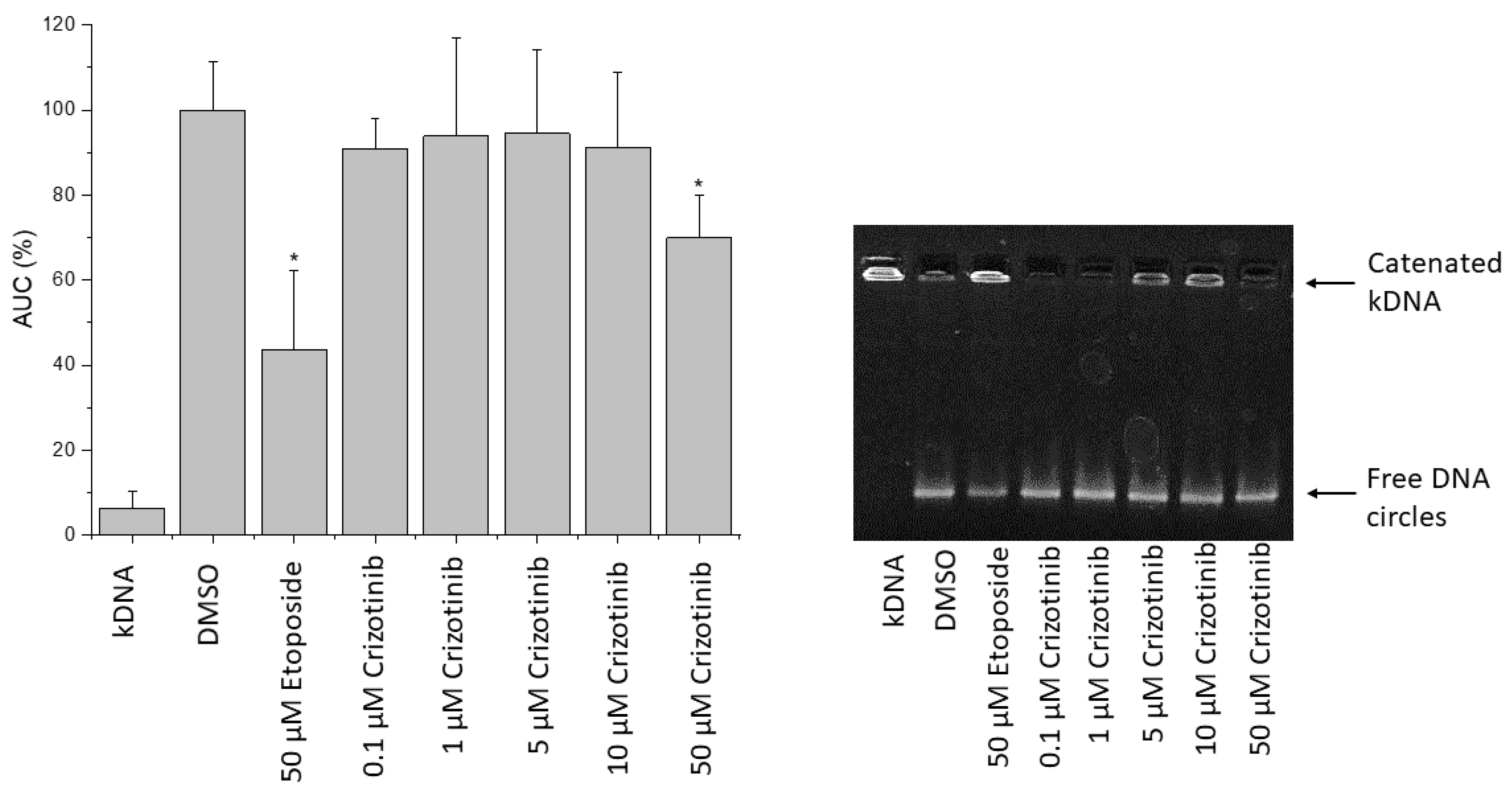 Pharmaceuticals 14 01126 g015