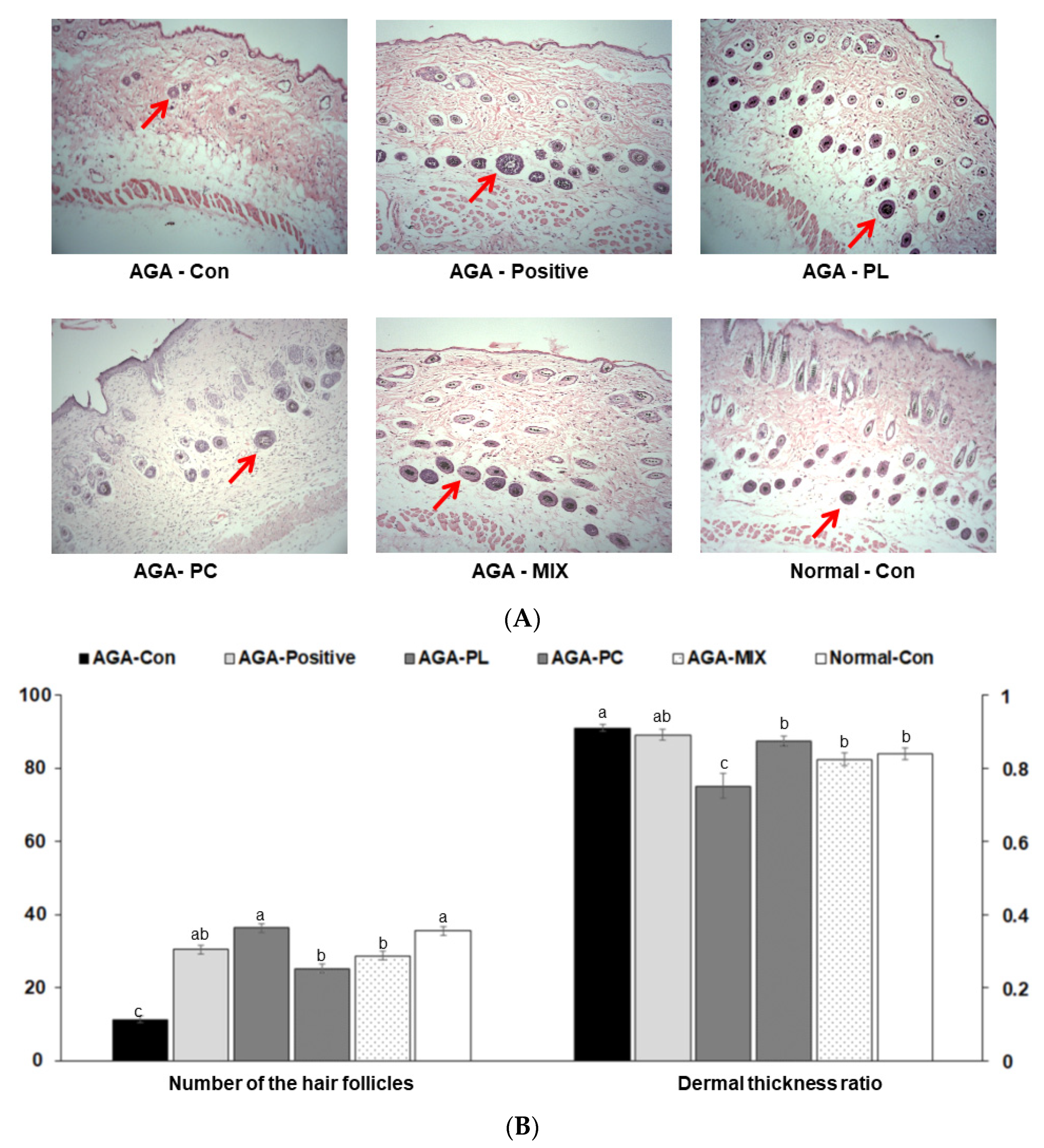 Pharmaceuticals 14 01128 g004