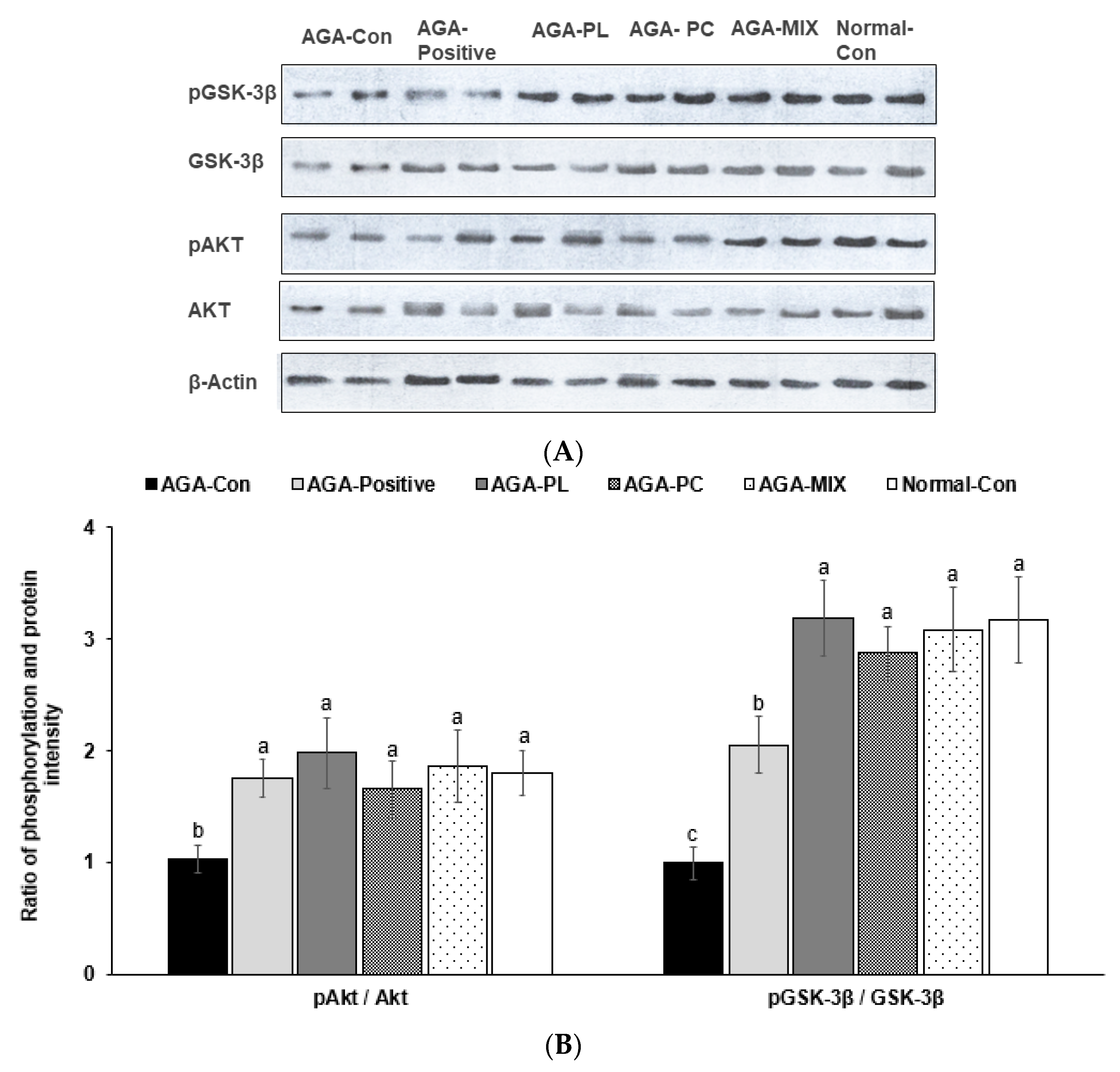 Pharmaceuticals 14 01128 g006