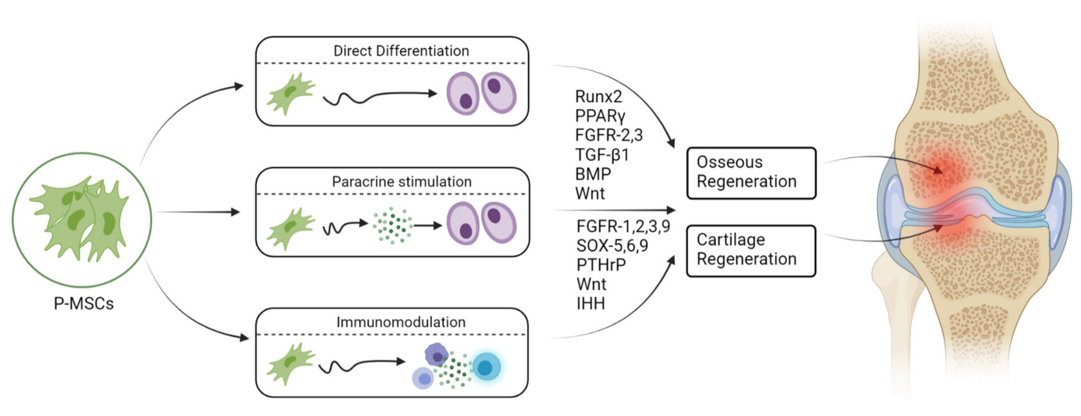 Pharmaceuticals 14 01133 g002