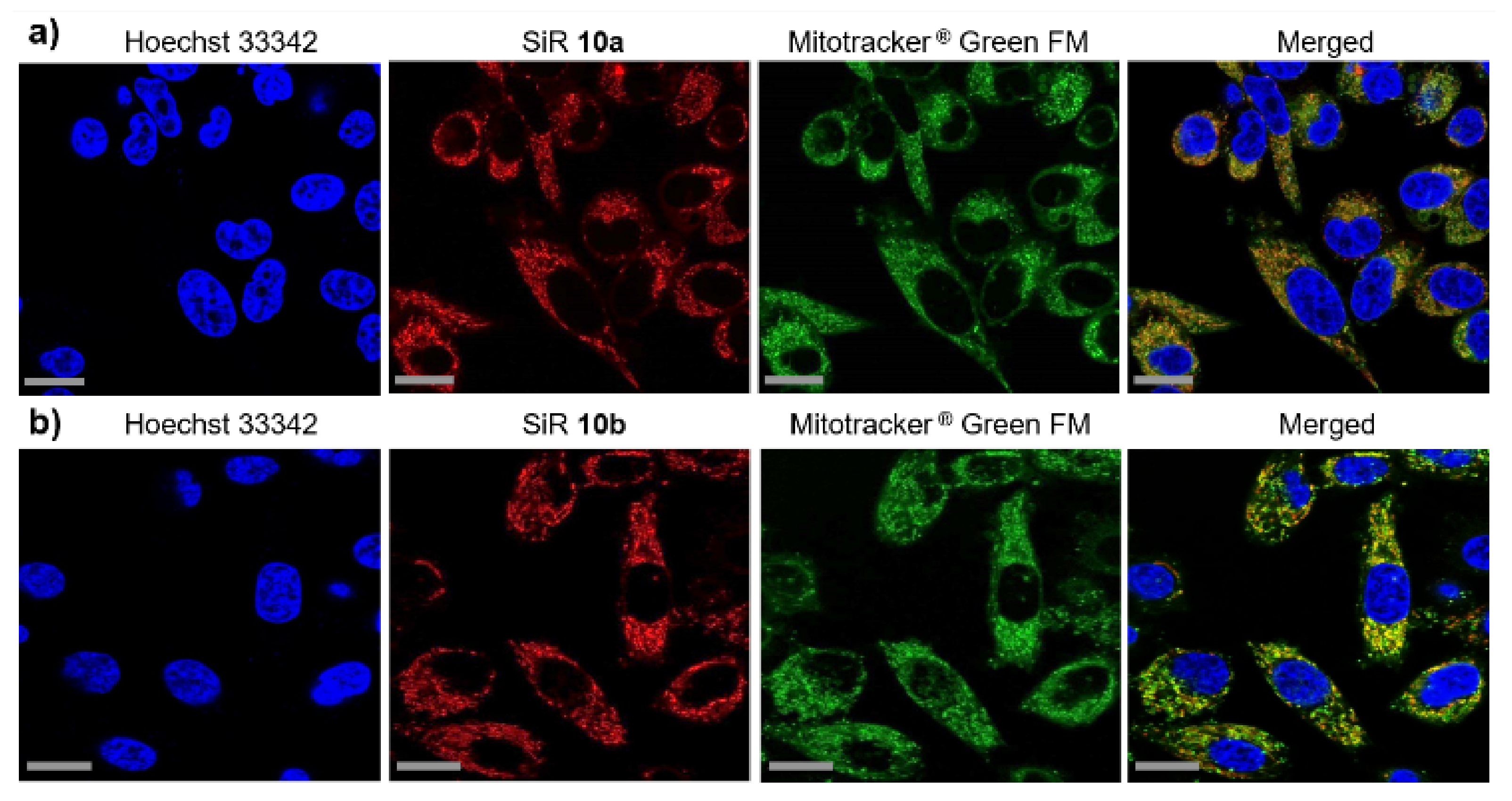 Pharmaceuticals 14 01155 g005 Pharmaceuticals 14 01155 g005