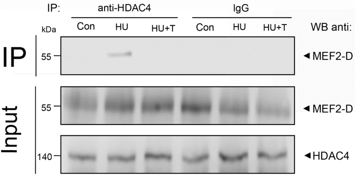 Pharmaceuticals 14 01167 g005