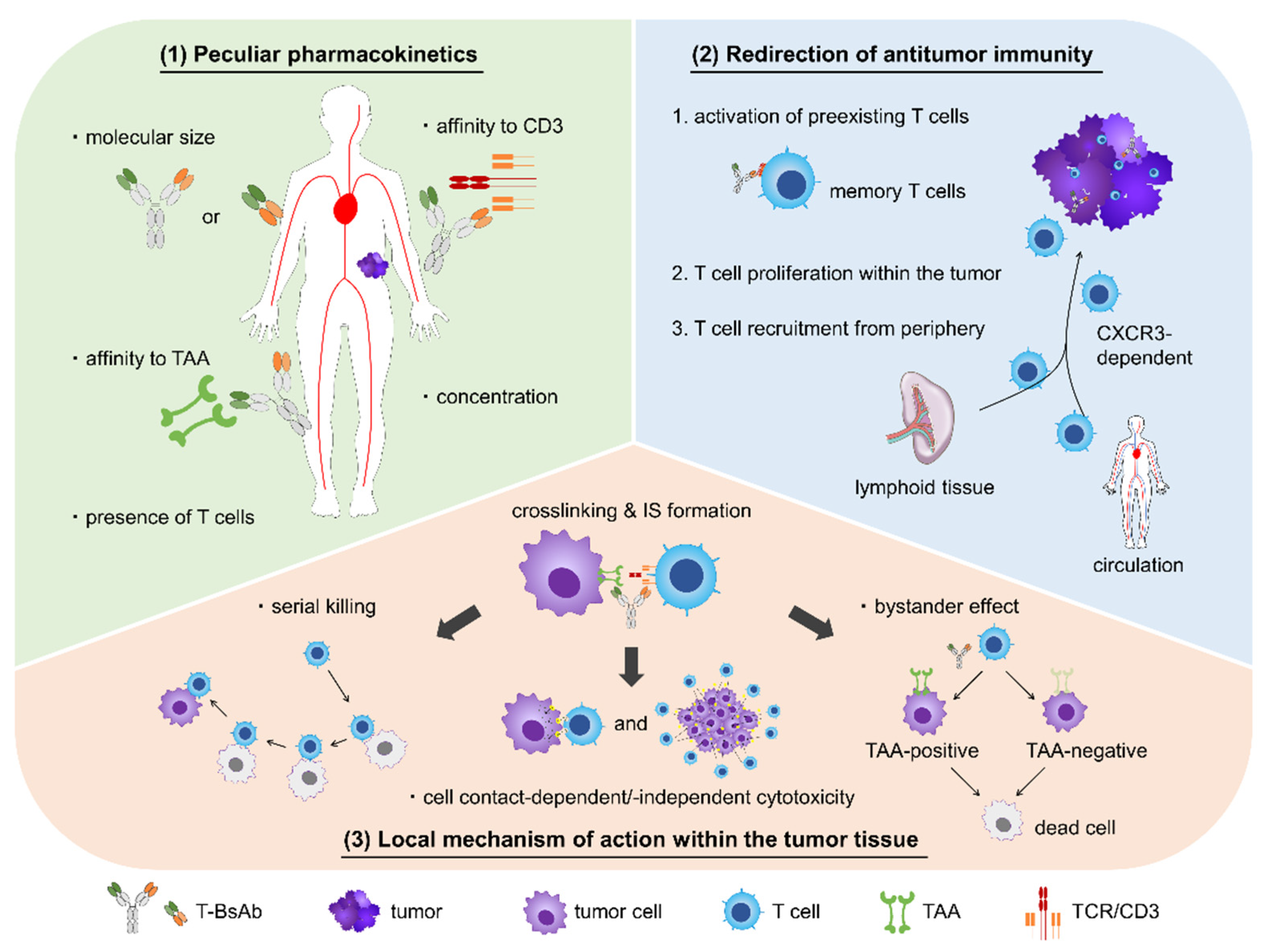 Pharmaceuticals 14 01172 g001