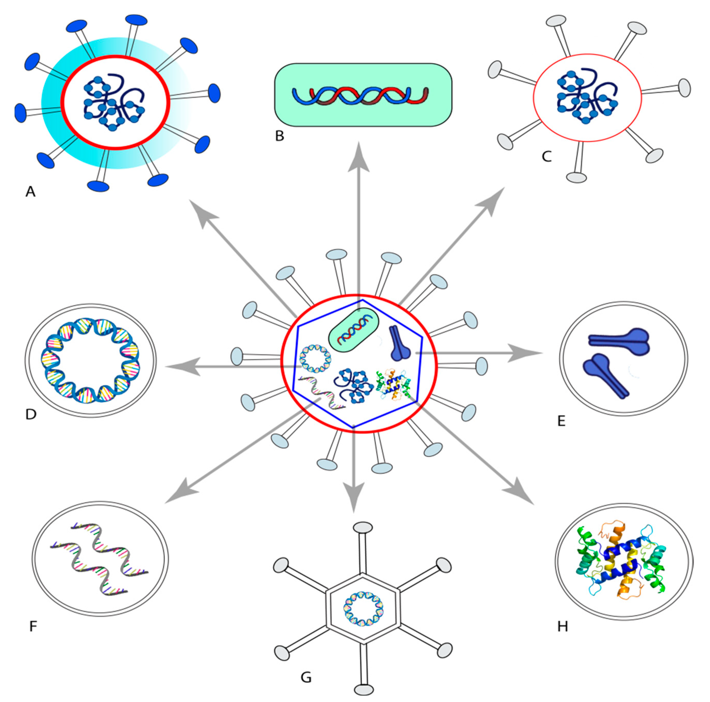 Pharmaceuticals 14 01173 g001