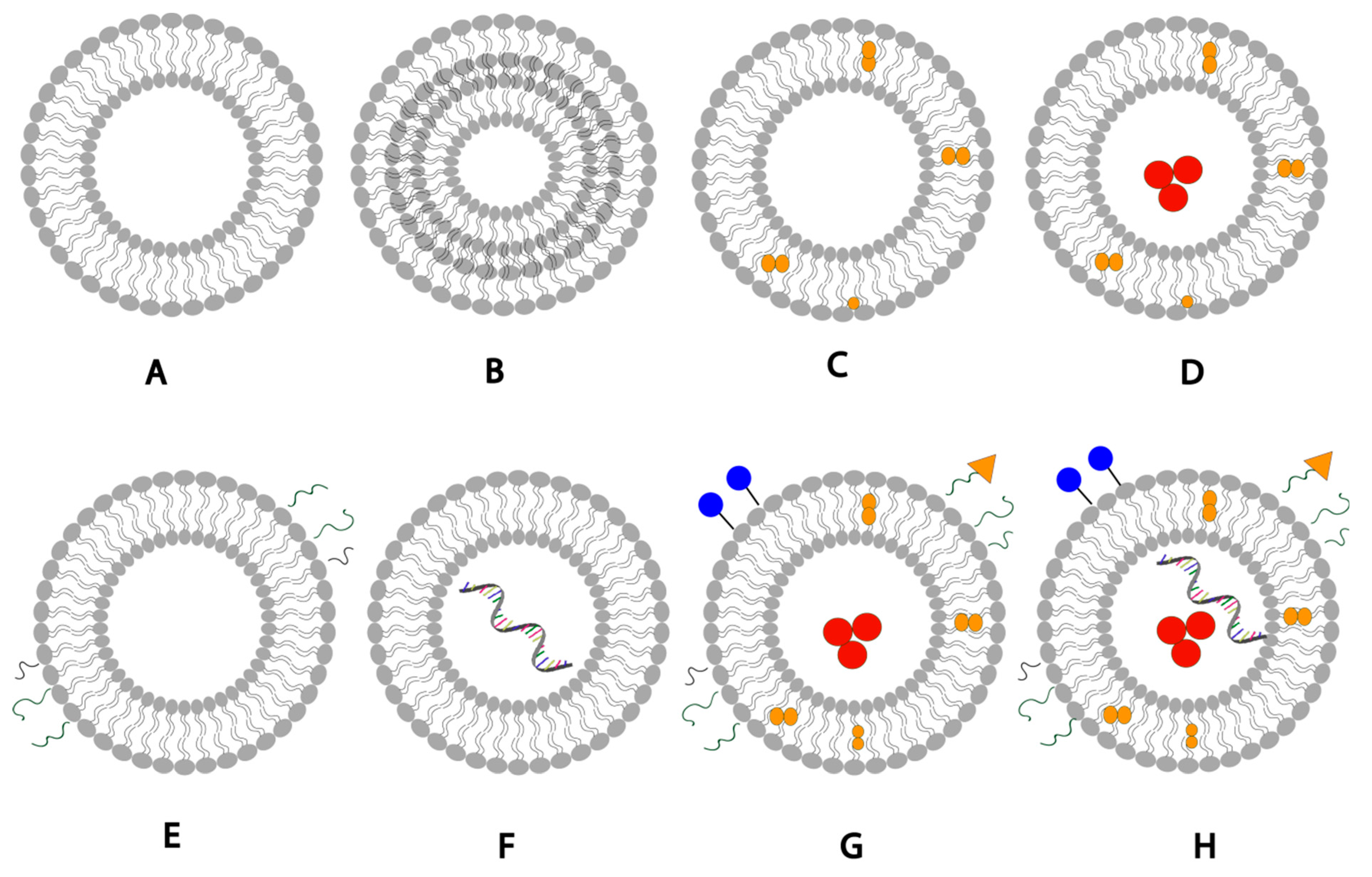 Pharmaceuticals 14 01173 g002