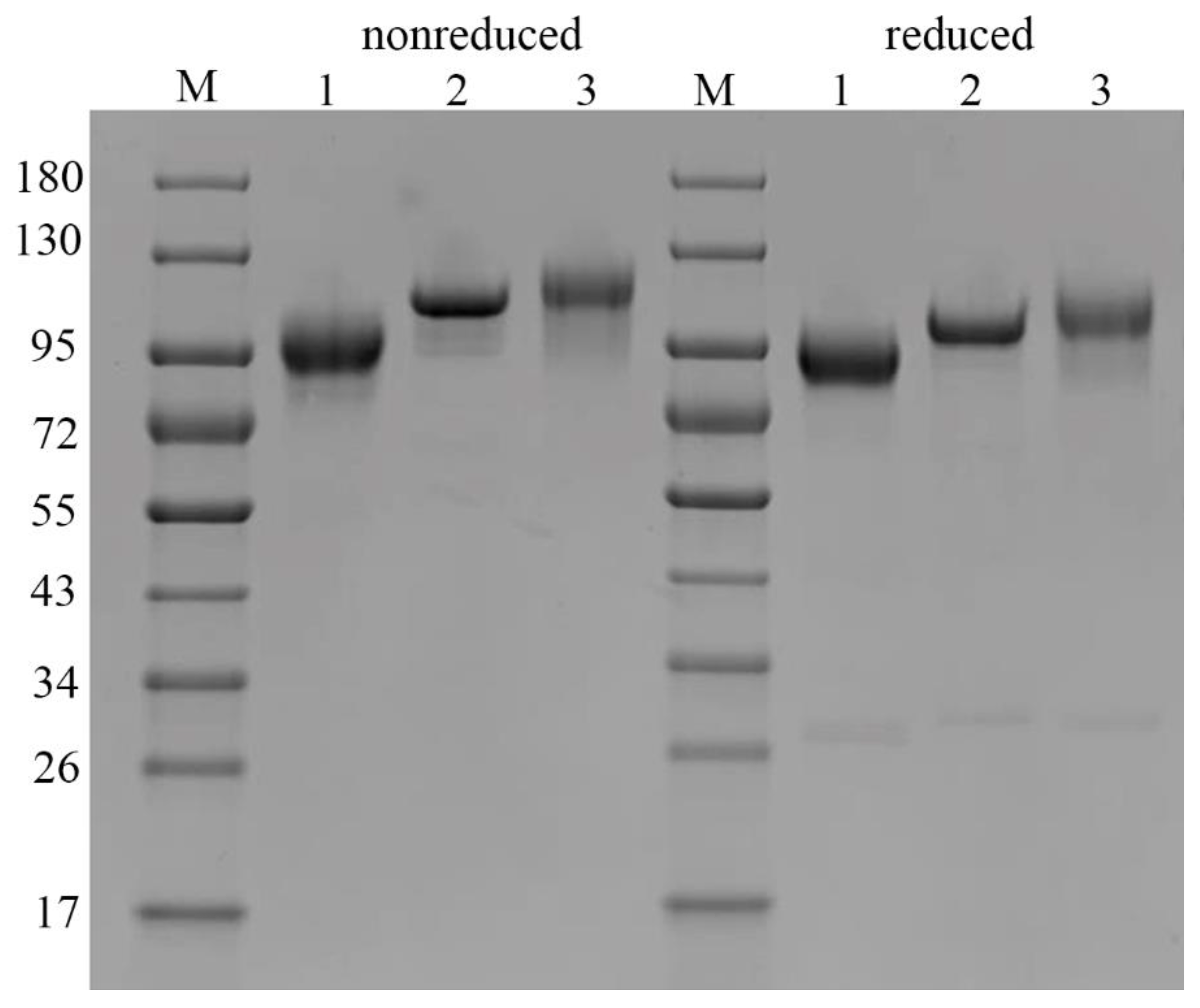 Pharmaceuticals 14 01180 g004 Pharmaceuticals 14 01180 g004