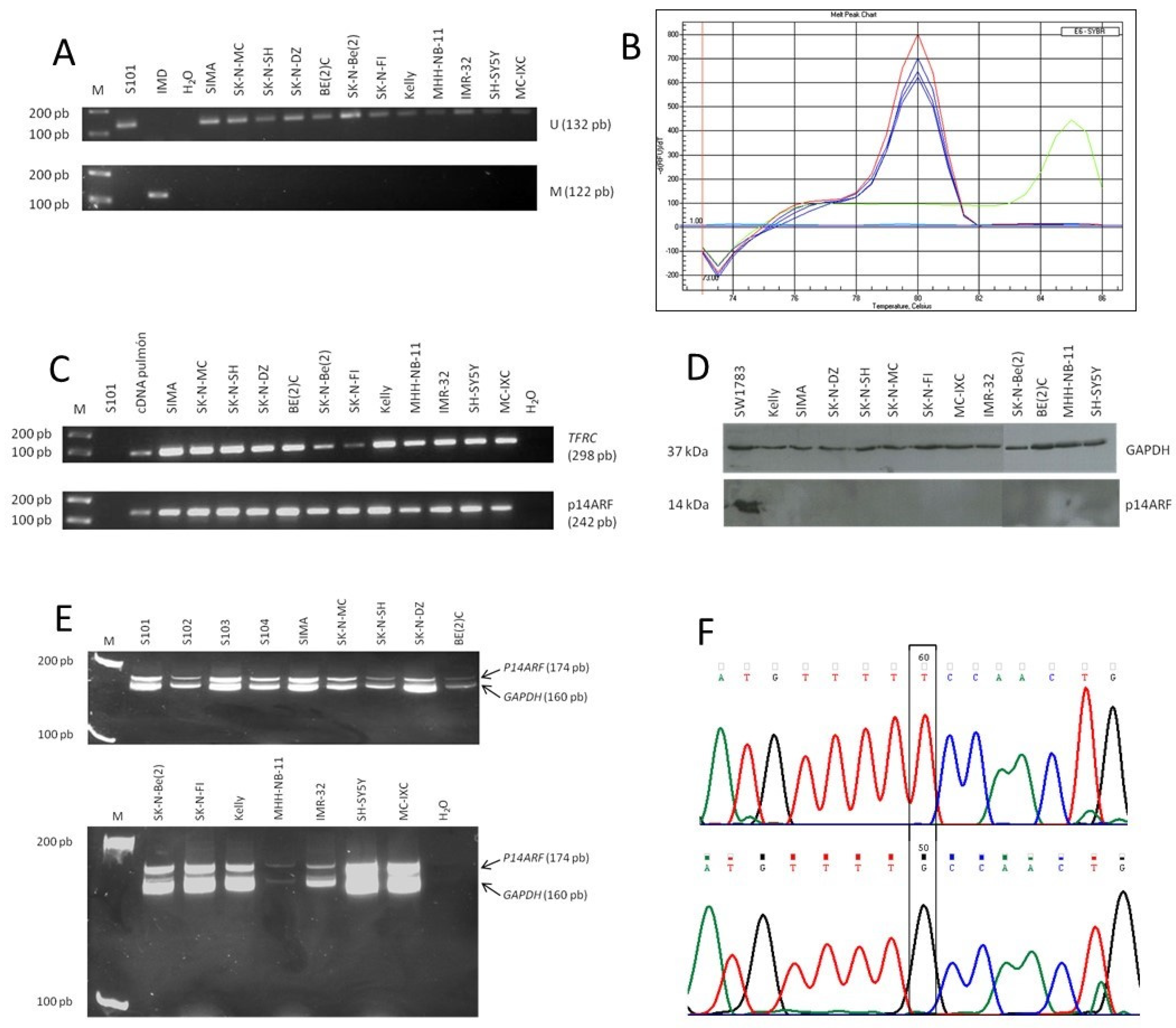 Pharmaceuticals 14 01184 g001