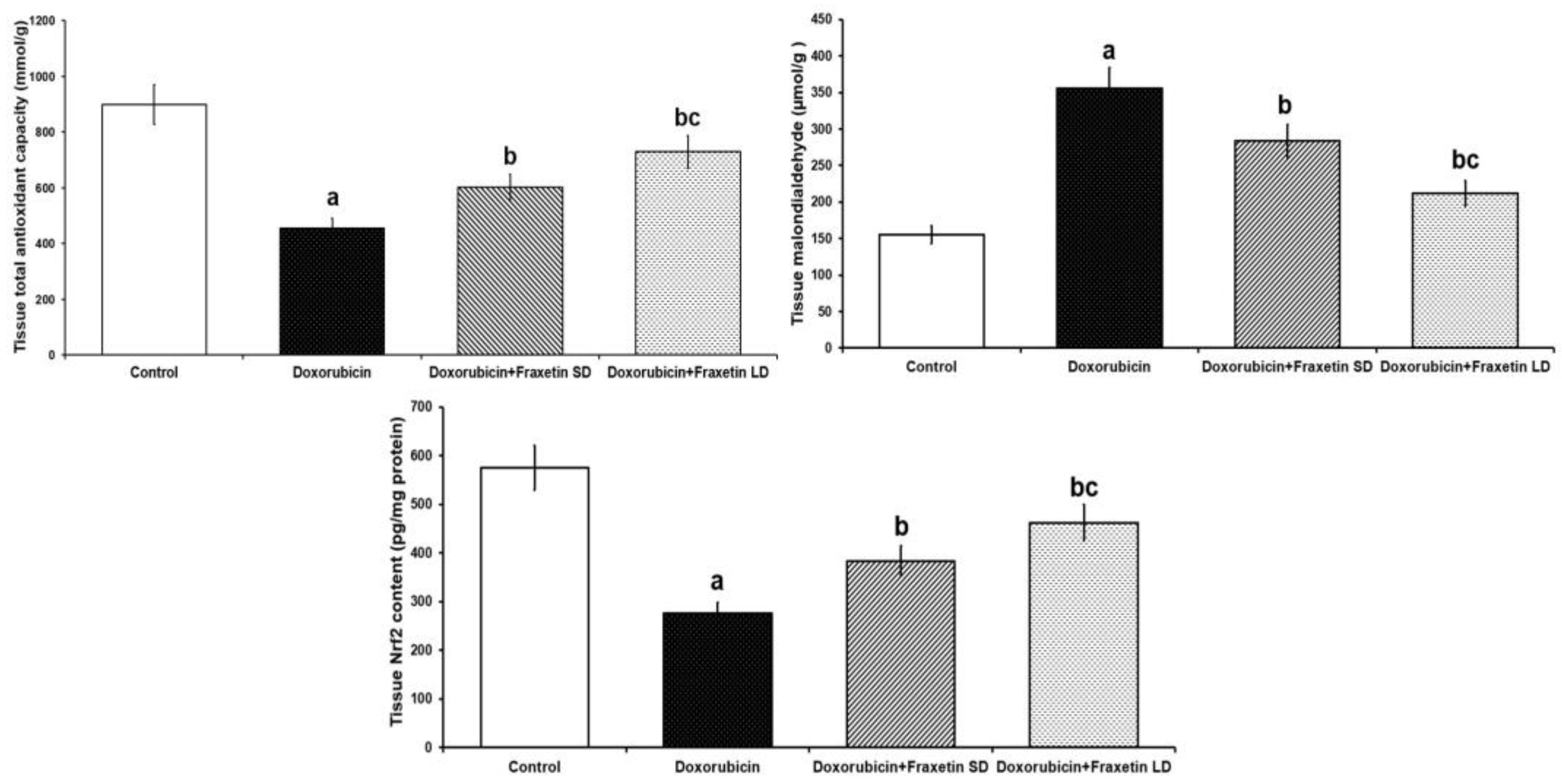 Pharmaceuticals 14 01188 g001