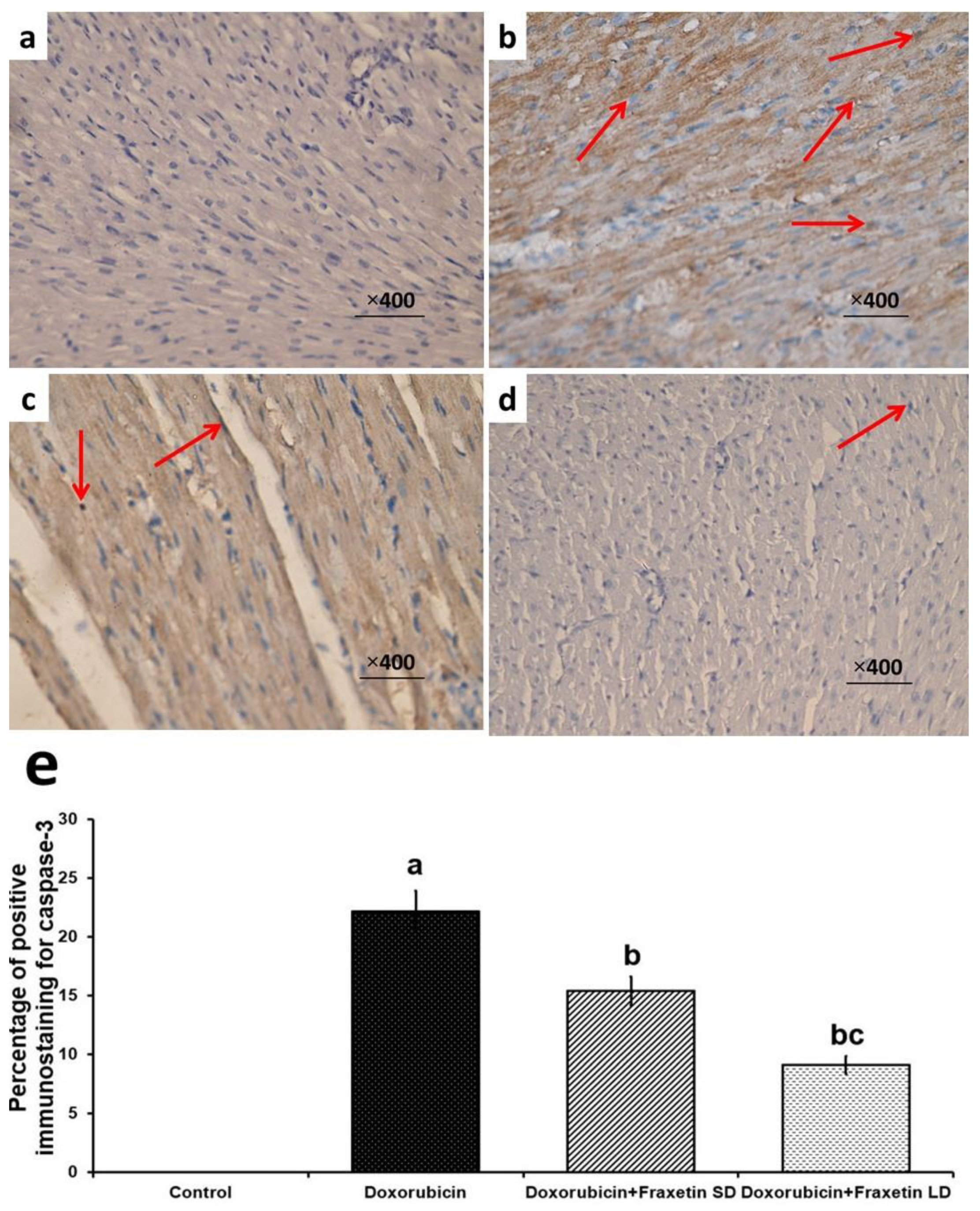 Pharmaceuticals 14 01188 g004