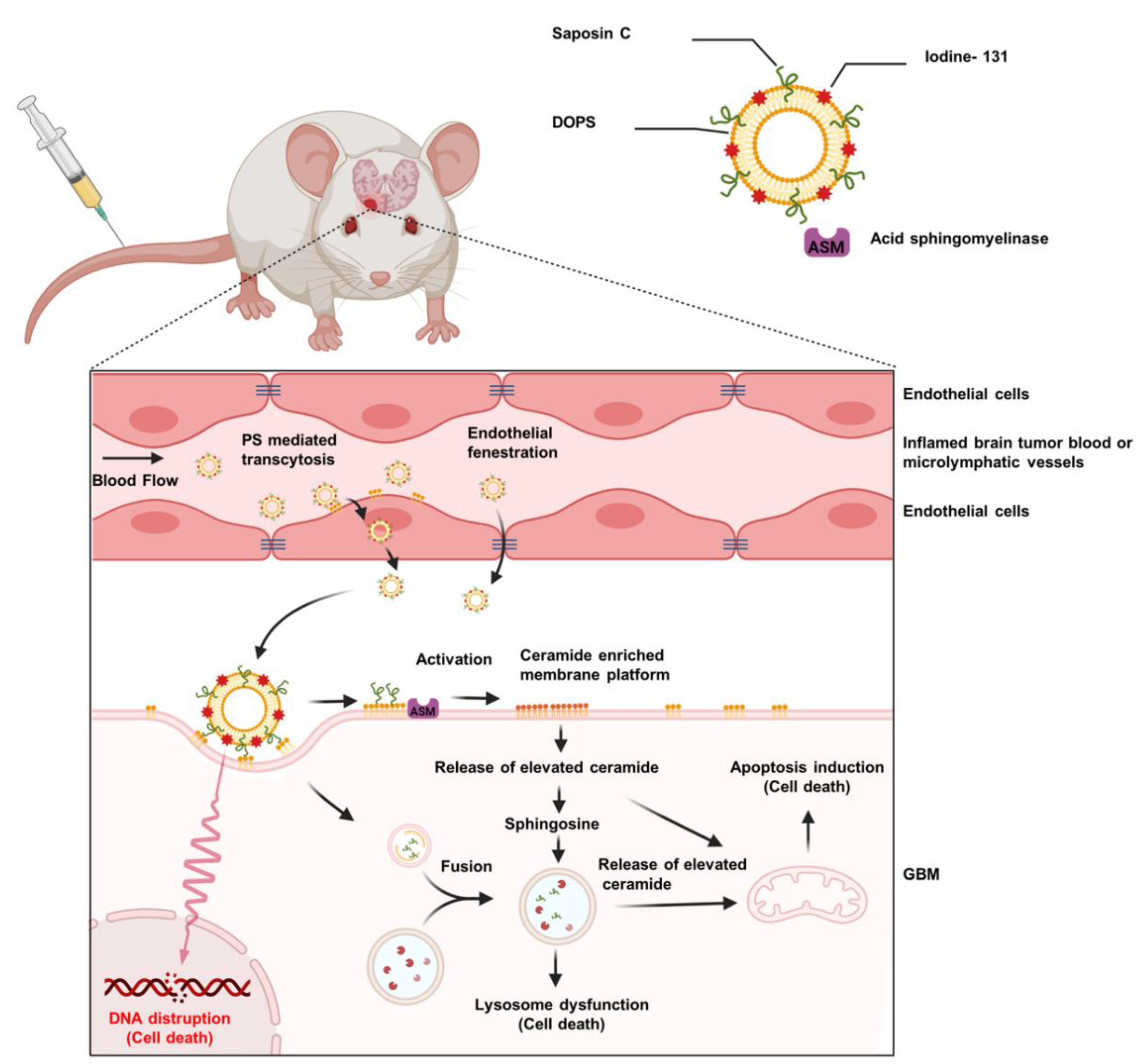 Pharmaceuticals 14 01193 g001