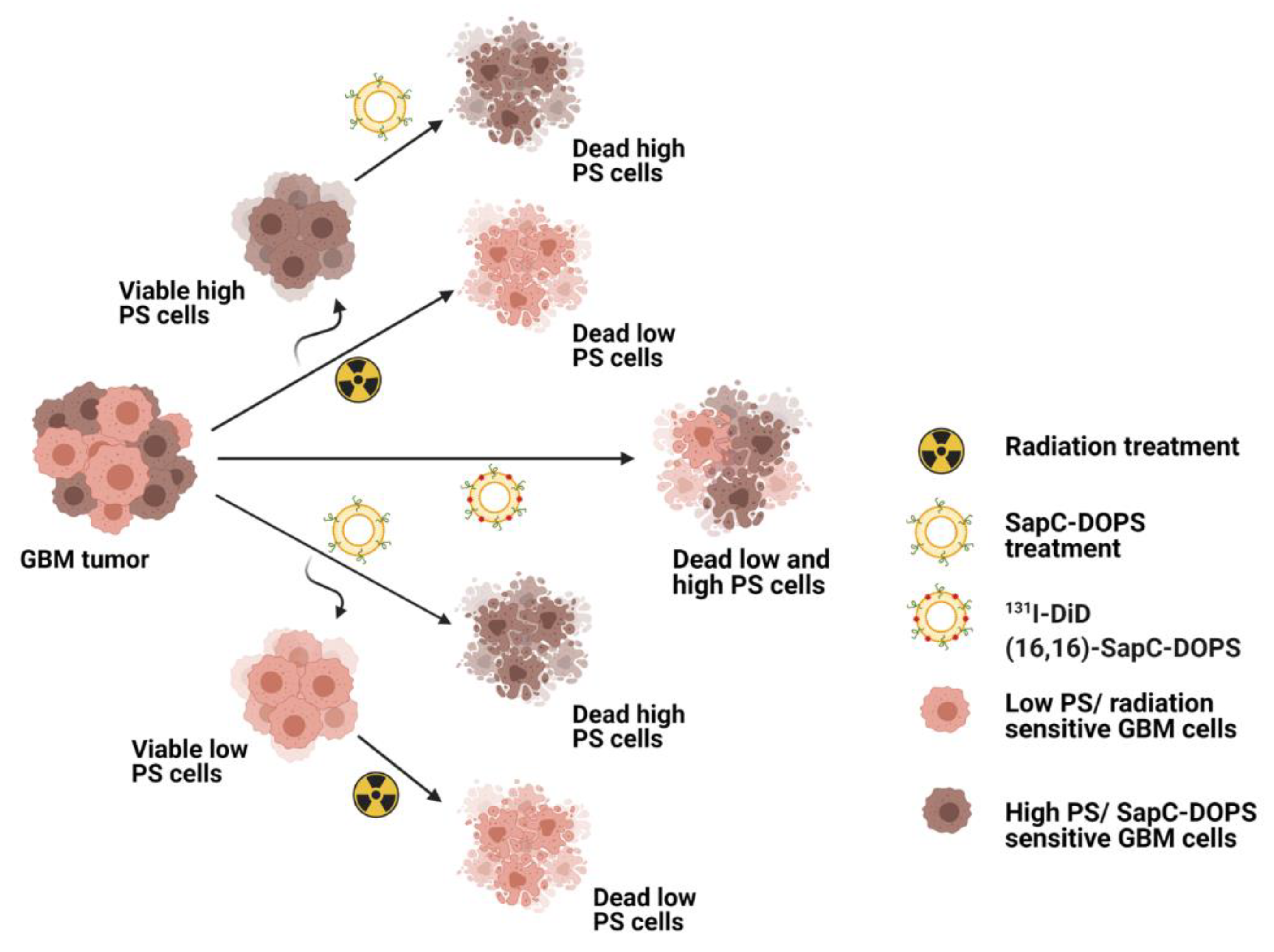 Pharmaceuticals 14 01193 g002