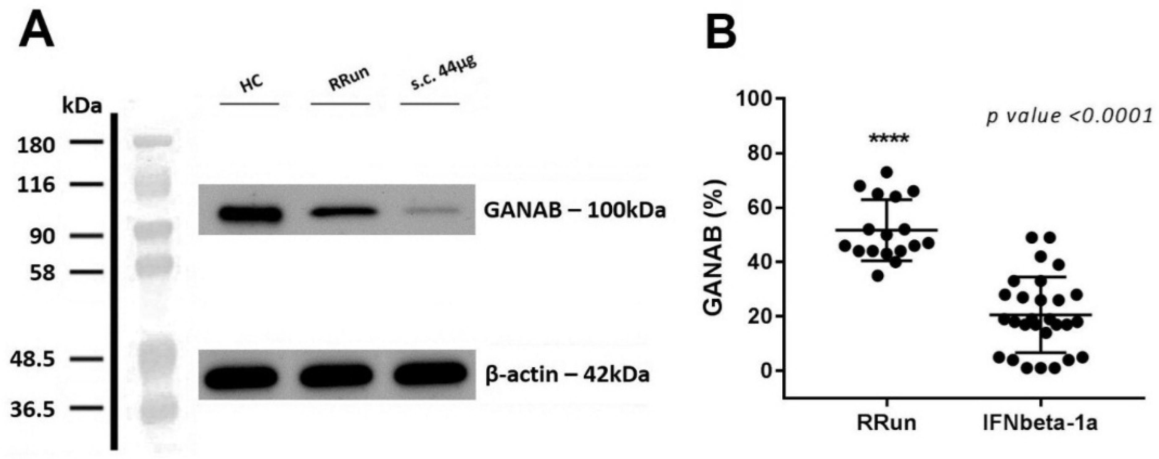 Pharmaceuticals 14 01195 g003