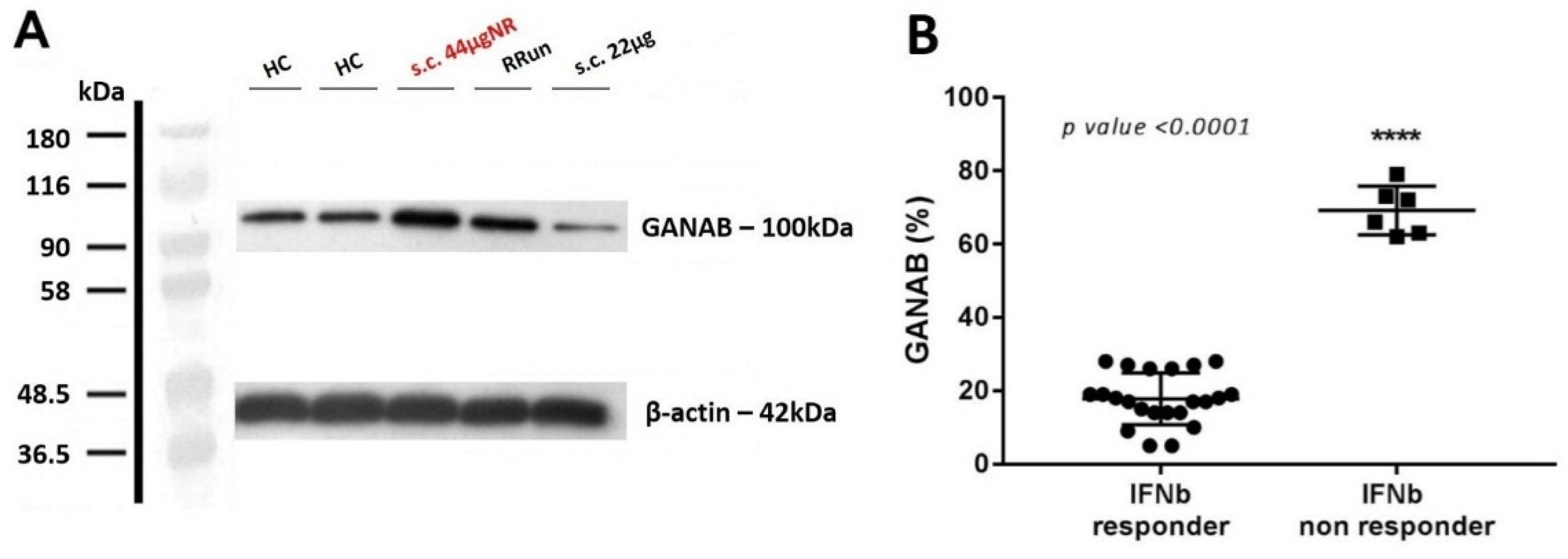 Pharmaceuticals 14 01195 g004