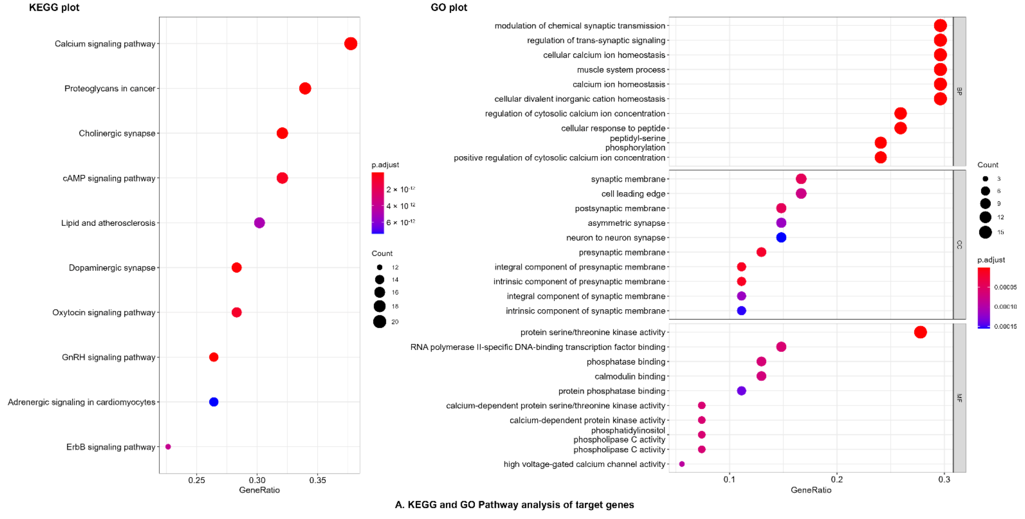 Pharmaceuticals 14 01197 g003a