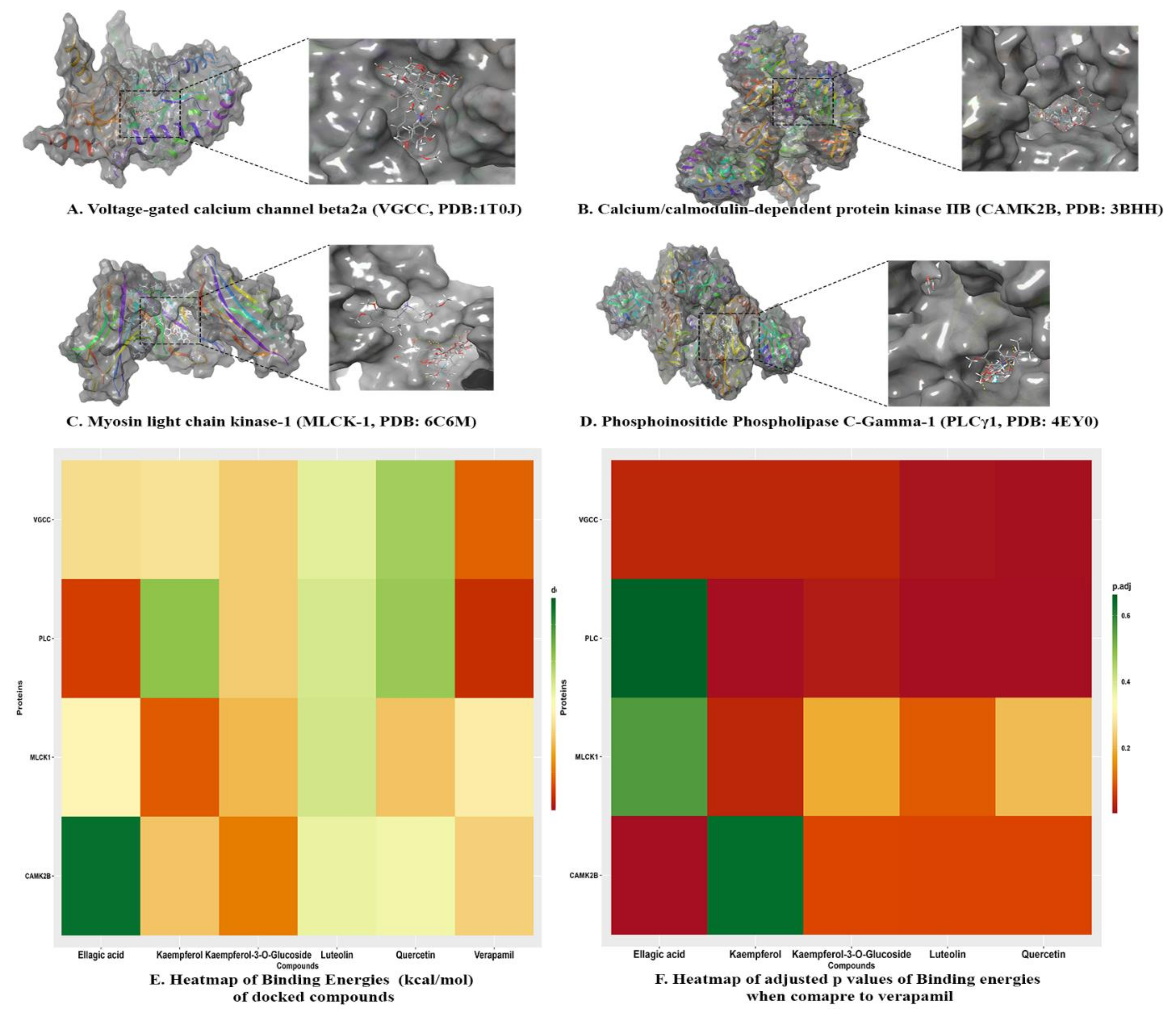 Pharmaceuticals 14 01197 g006
