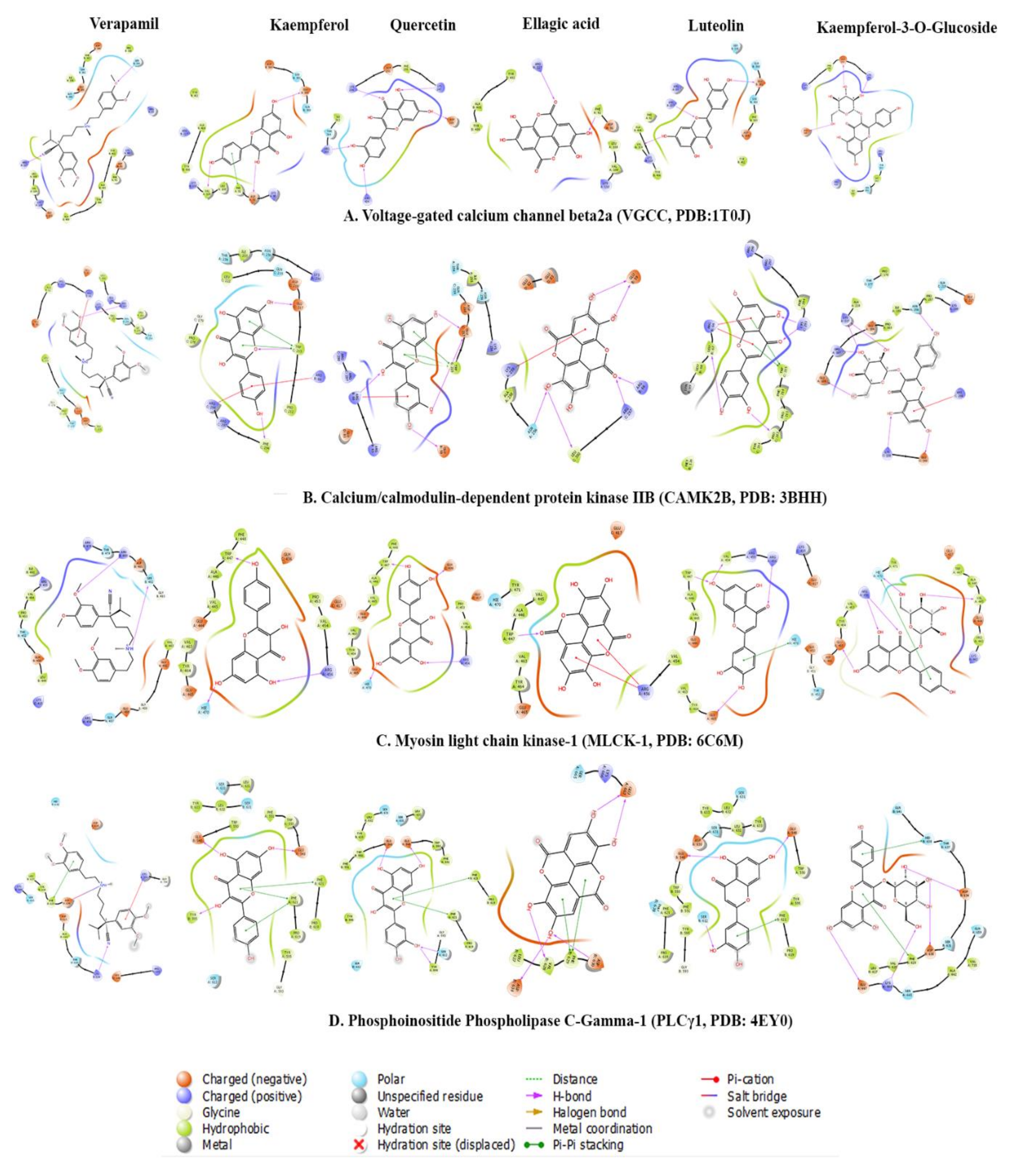 Pharmaceuticals 14 01197 g007