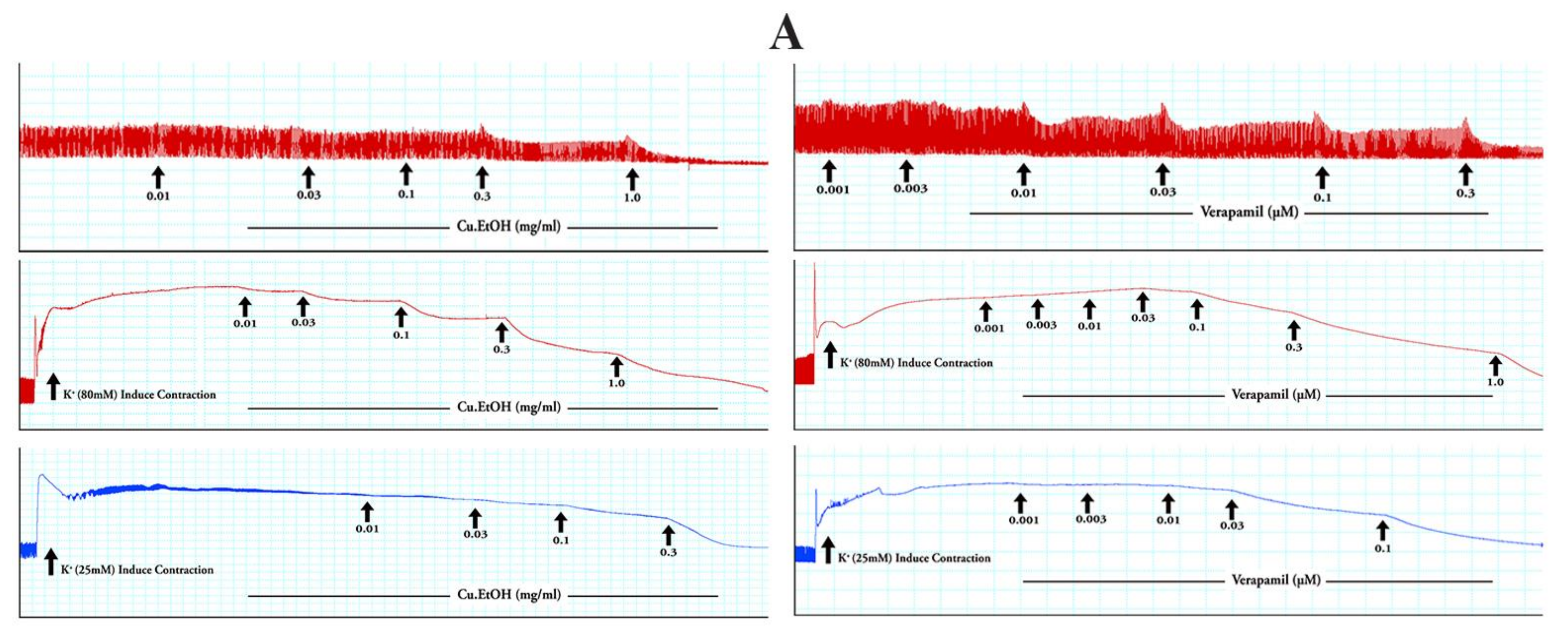 Pharmaceuticals 14 01197 g008a