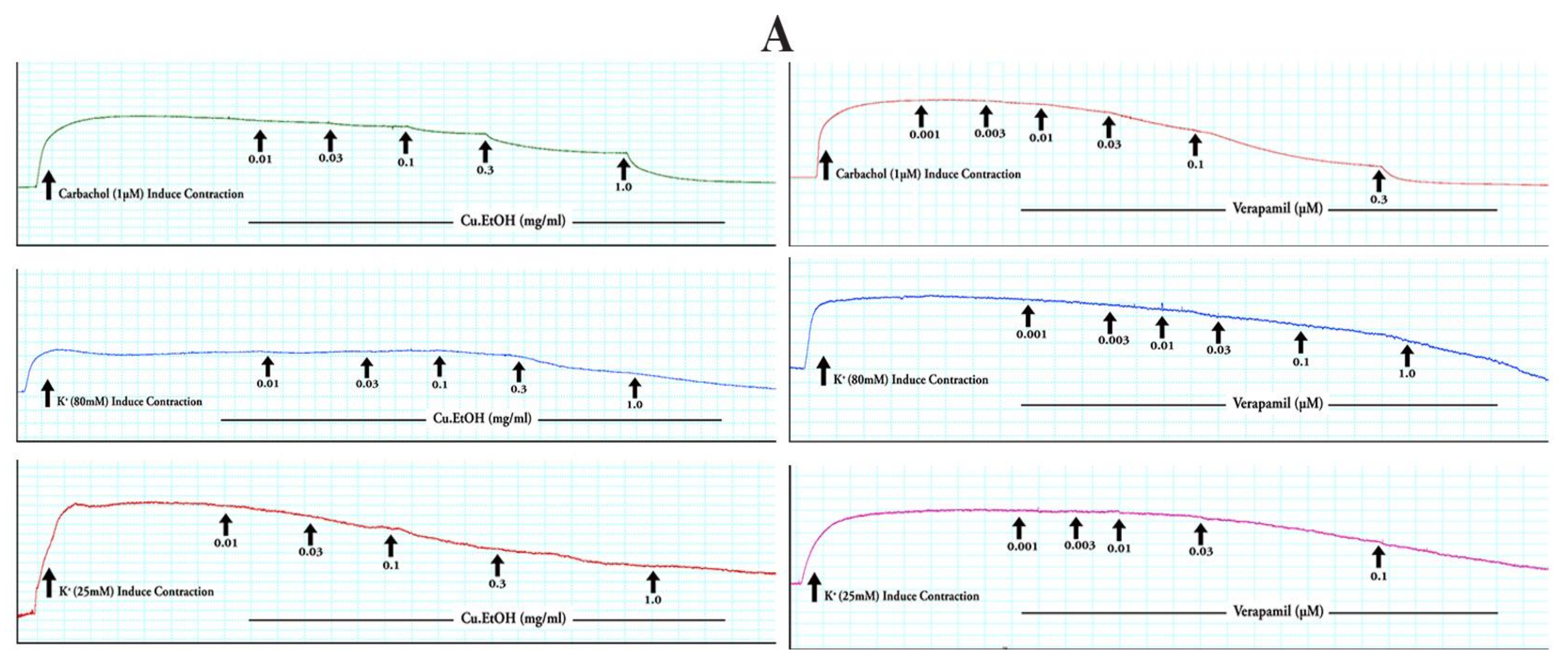 Pharmaceuticals 14 01197 g009a