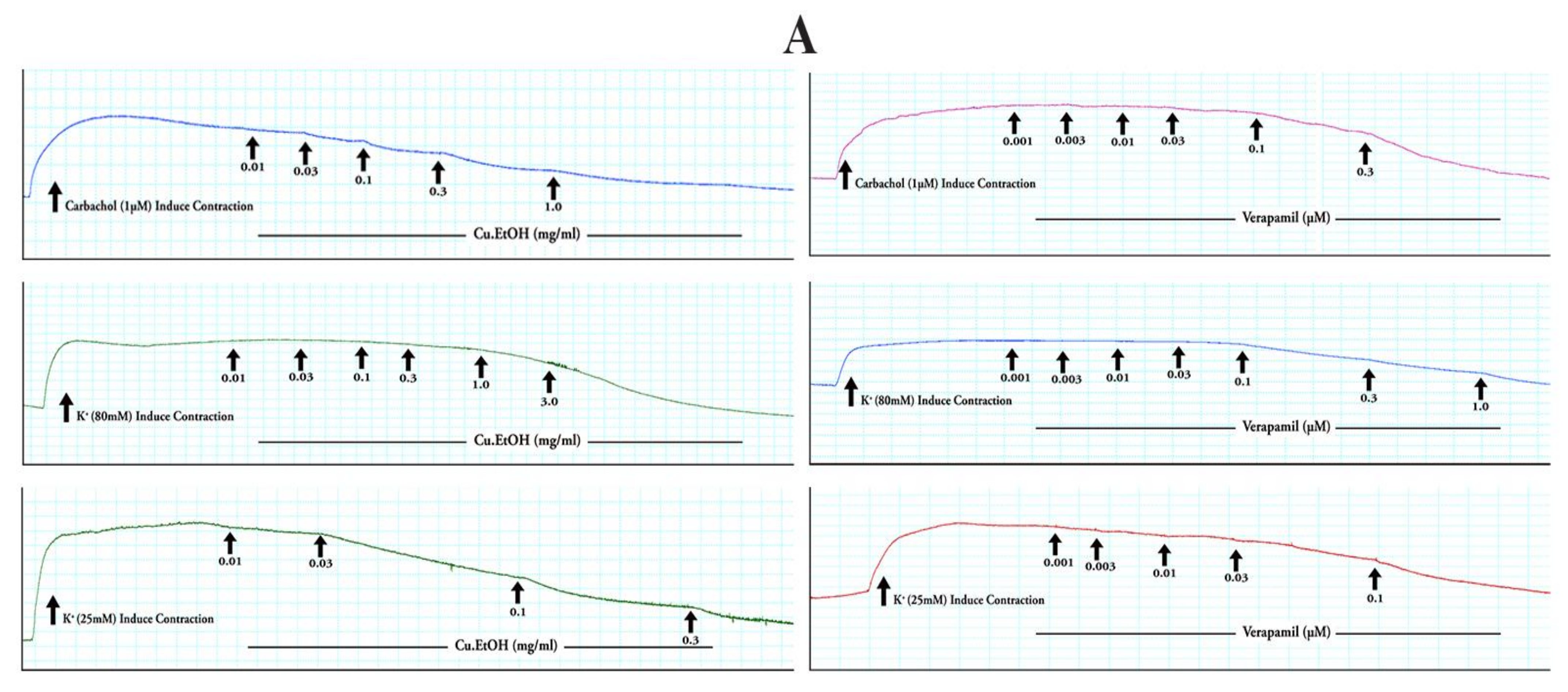 Pharmaceuticals 14 01197 g010a