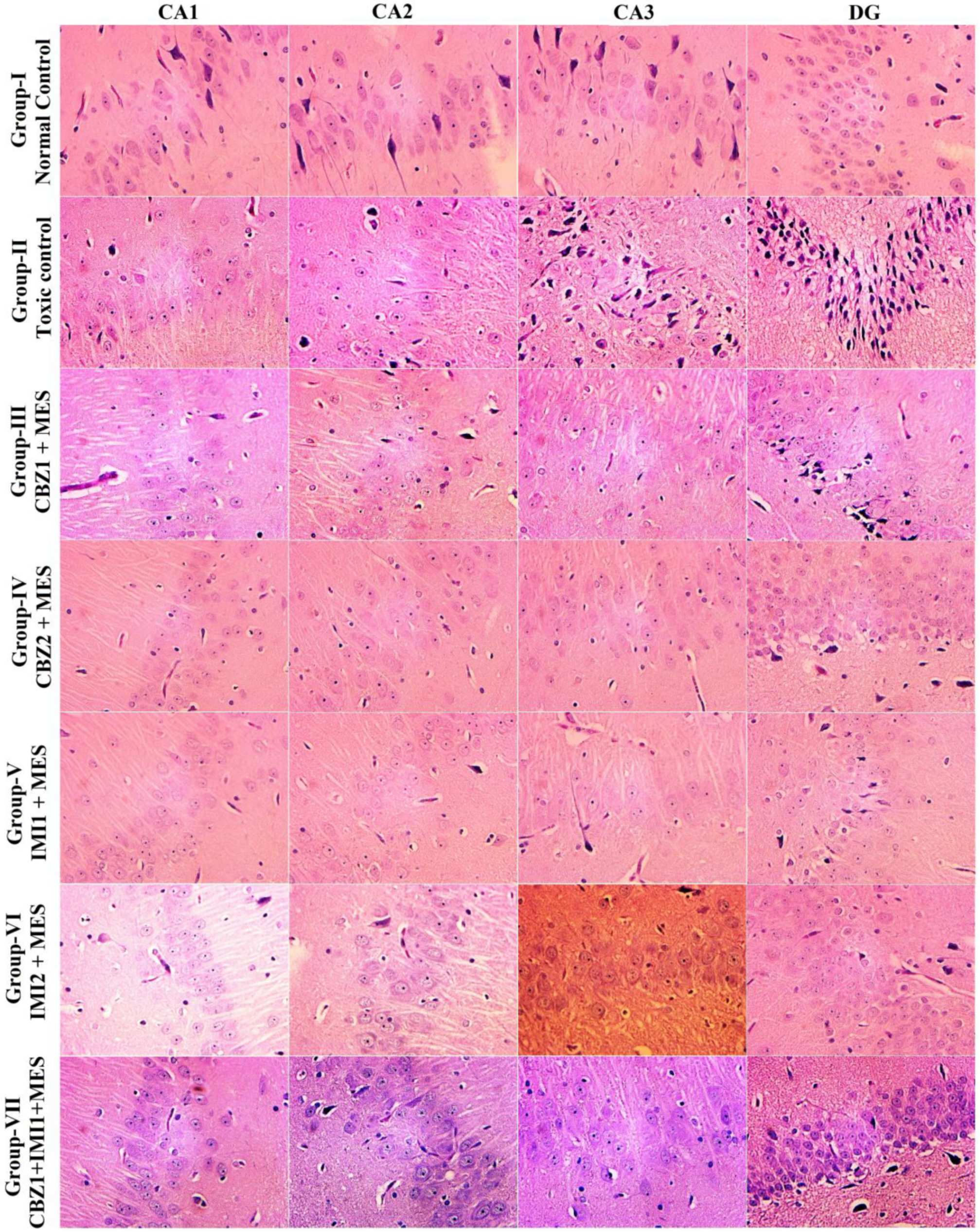 Pharmaceuticals 14 01204 g007