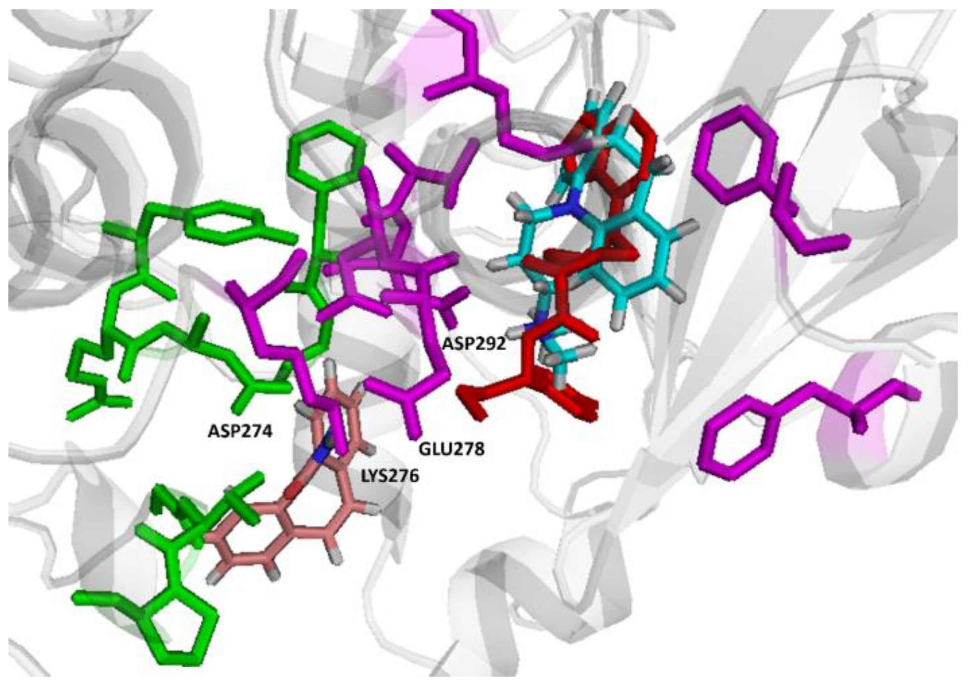 Pharmaceuticals 14 01204 g009