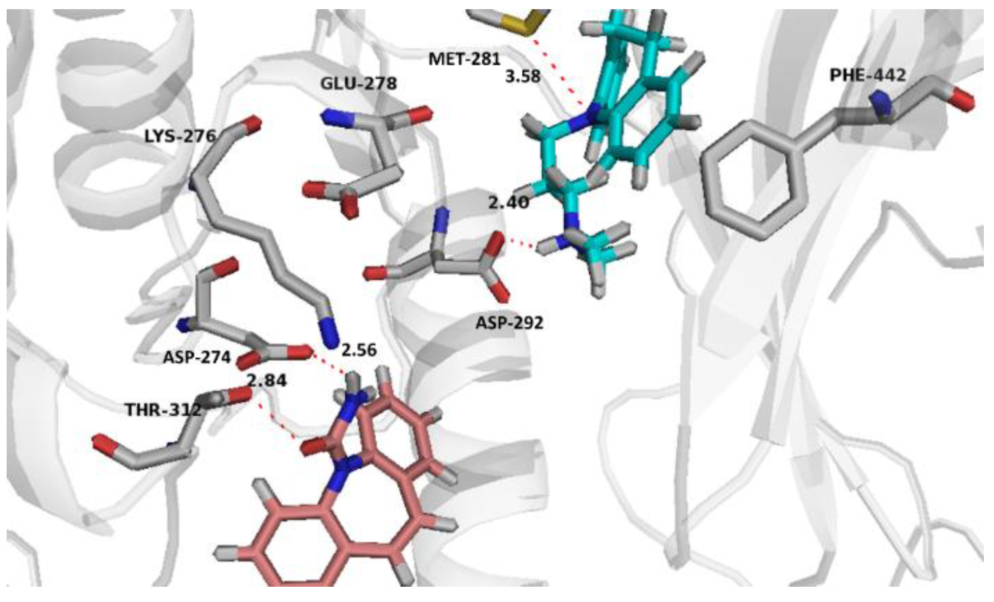 Pharmaceuticals 14 01204 g010