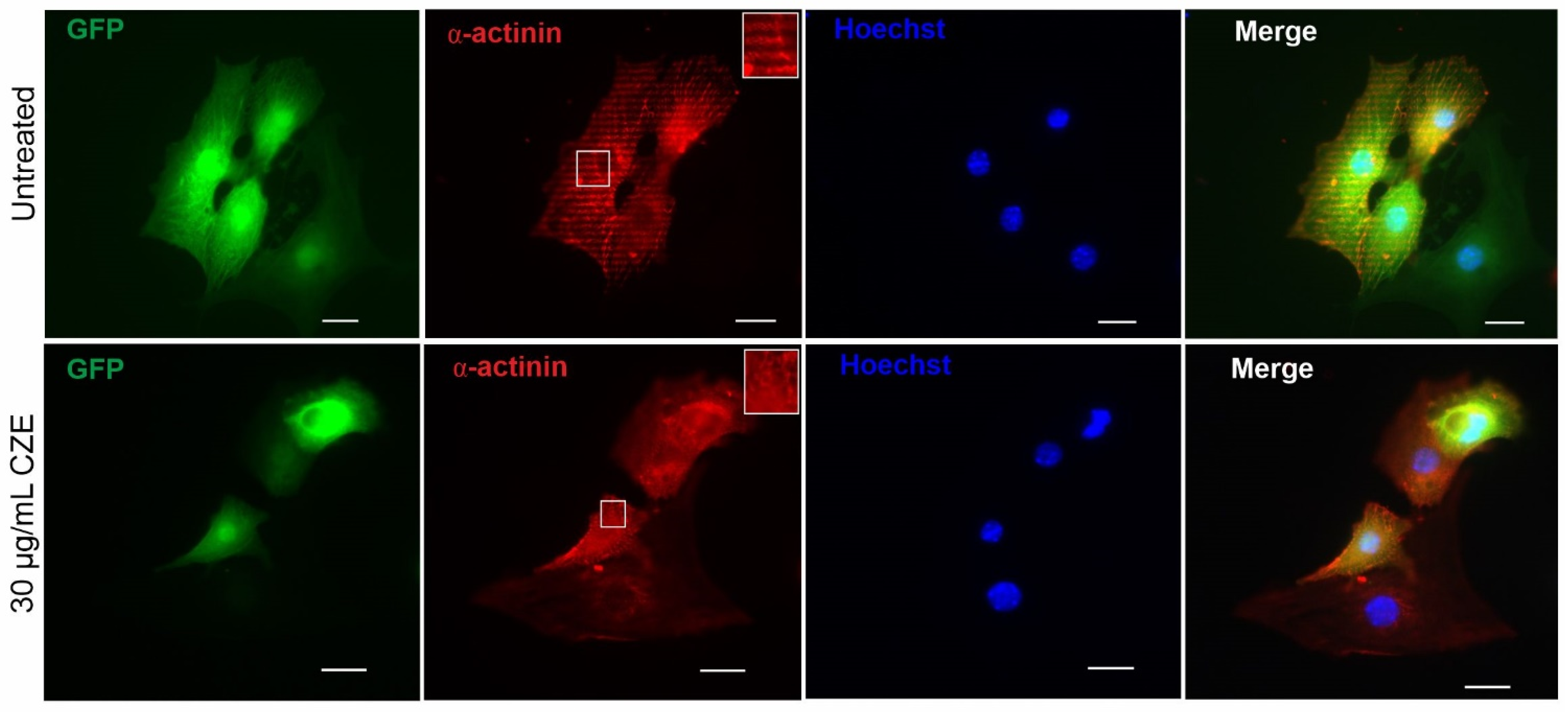 Pharmaceuticals 14 01208 g003