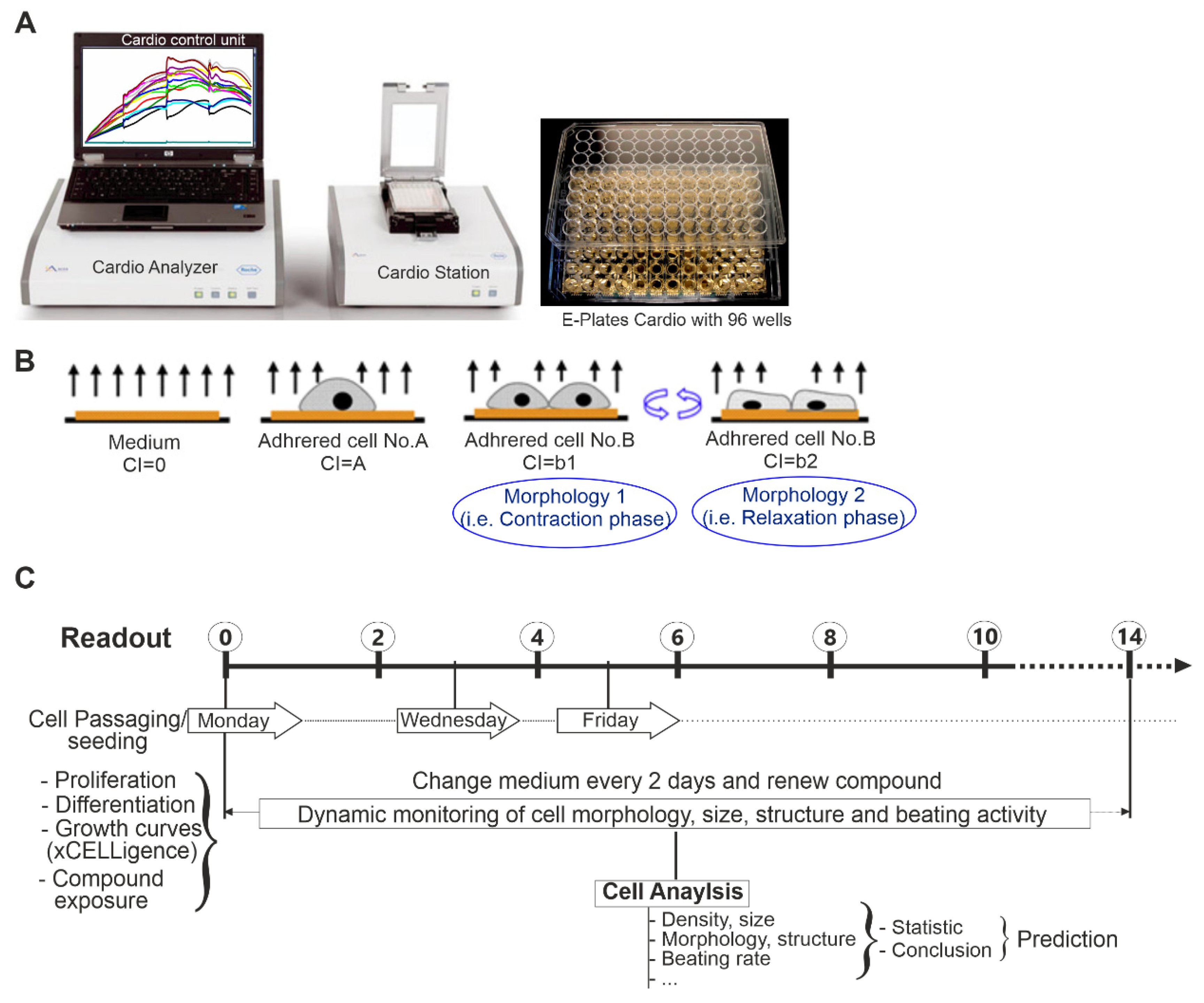 Pharmaceuticals 14 01208 g005