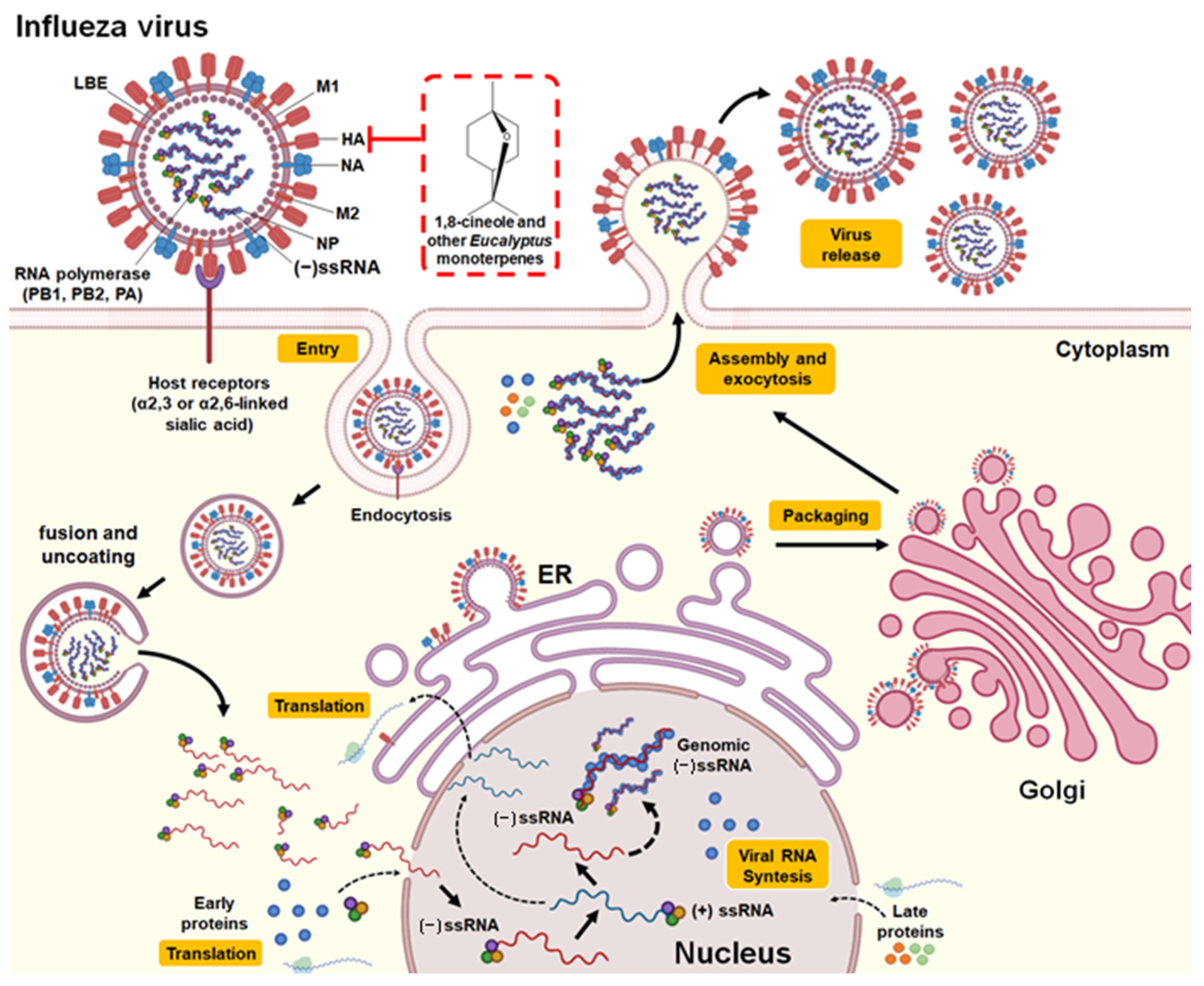 Pharmaceuticals 14 01210 g003