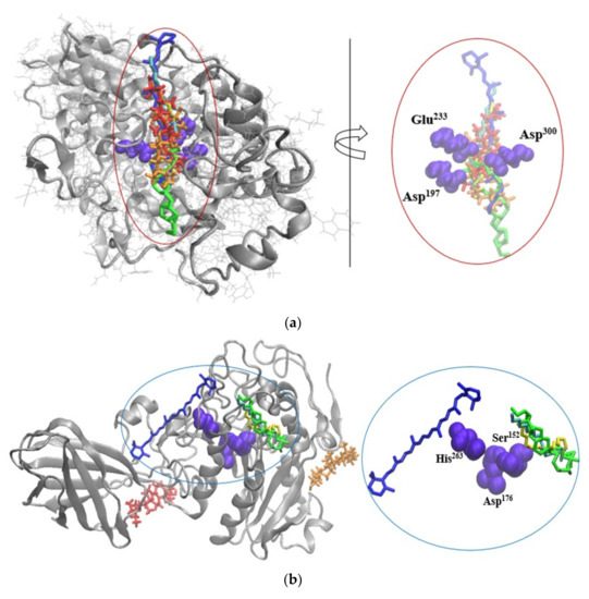 Pharmaceuticals 14 01217 g002a 550