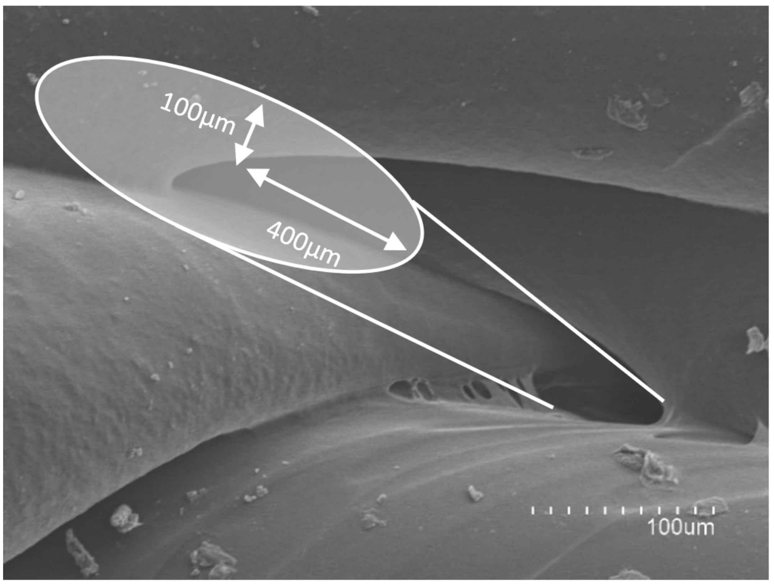 Pharmaceuticals 14 01240 g008 Pharmaceuticals 14 01240 g008