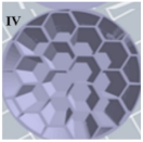 Pharmaceuticals 14 01240 i004 Pharmaceuticals 14 01240 i004