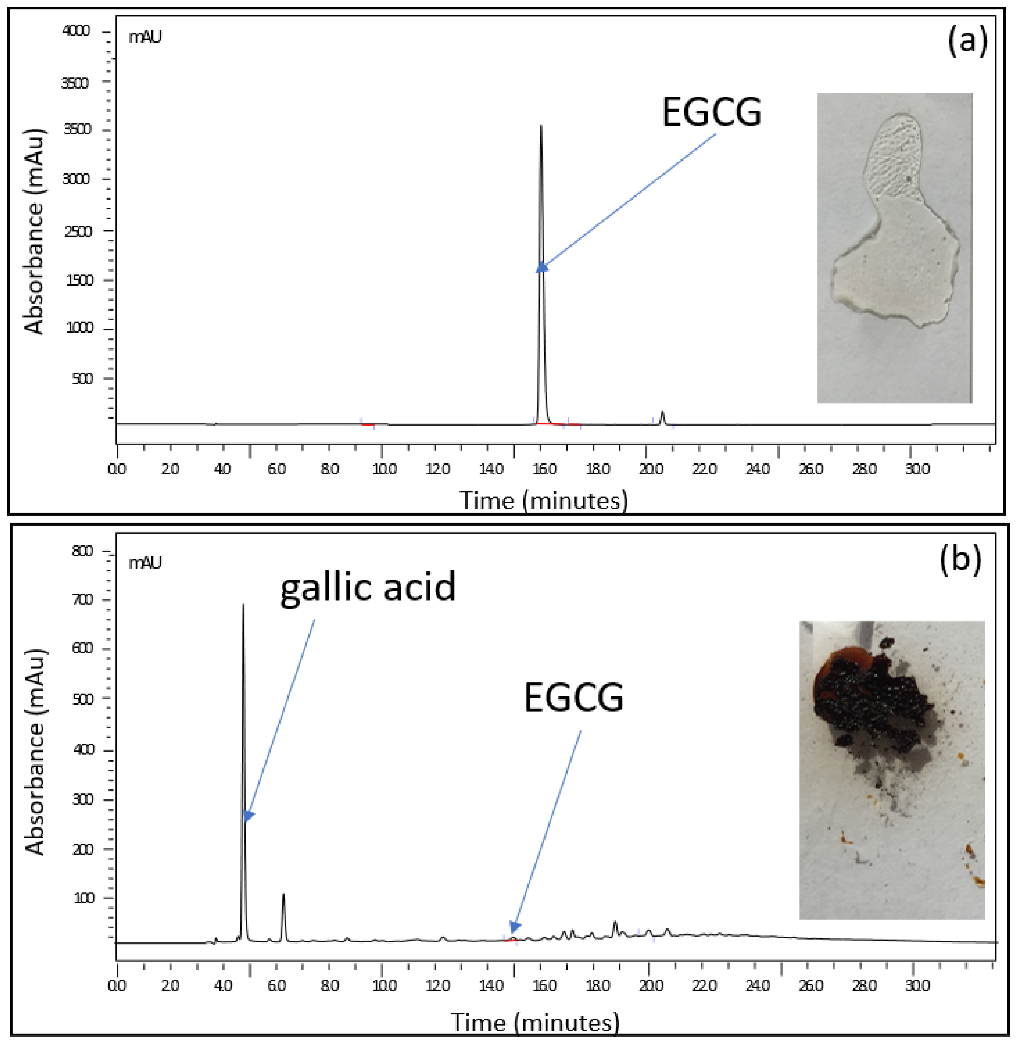 Pharmaceuticals 14 01242 g001