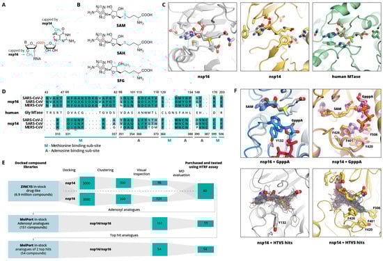 Pharmaceuticals 14 01243 g001 550