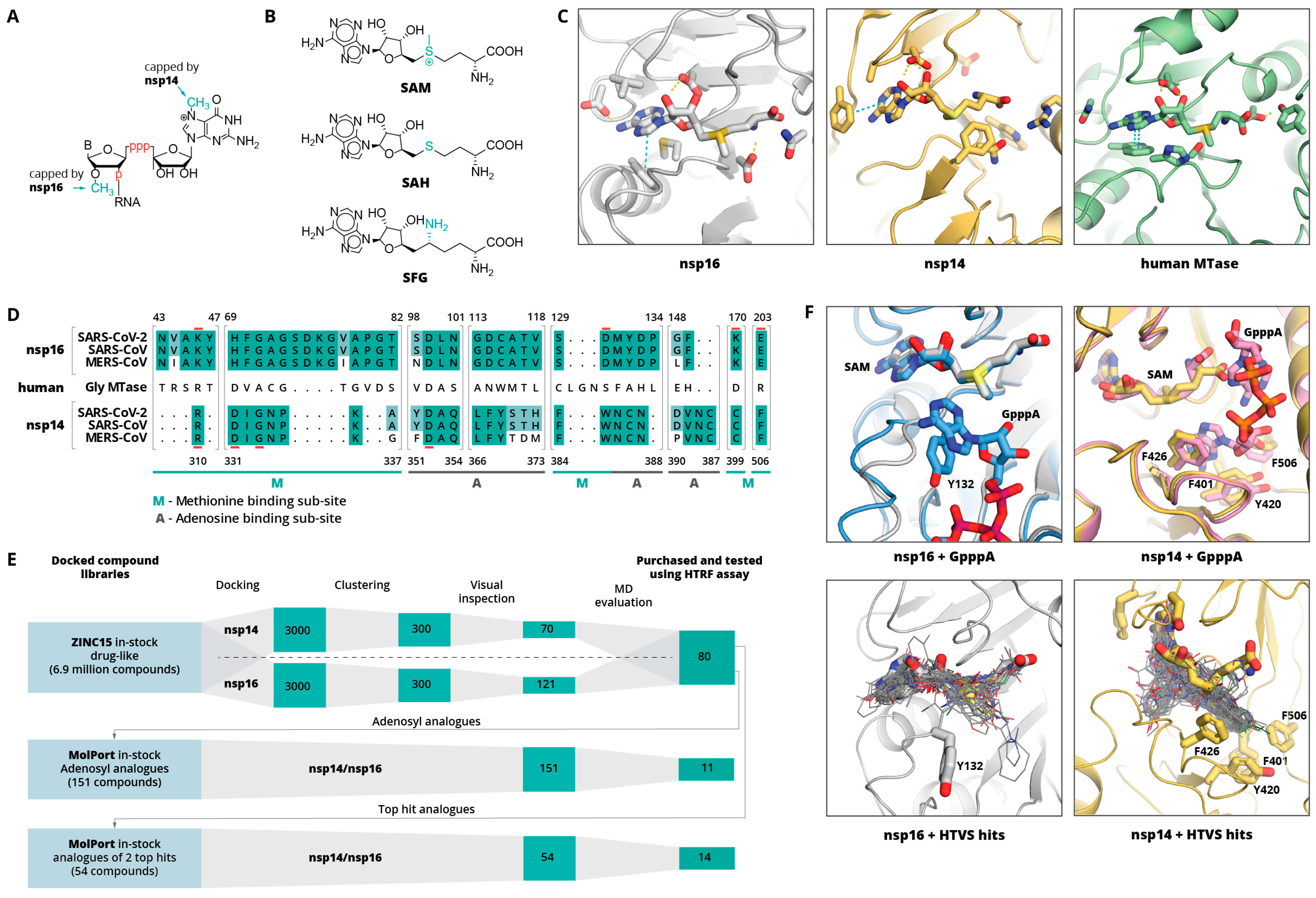 Pharmaceuticals 14 01243 g001