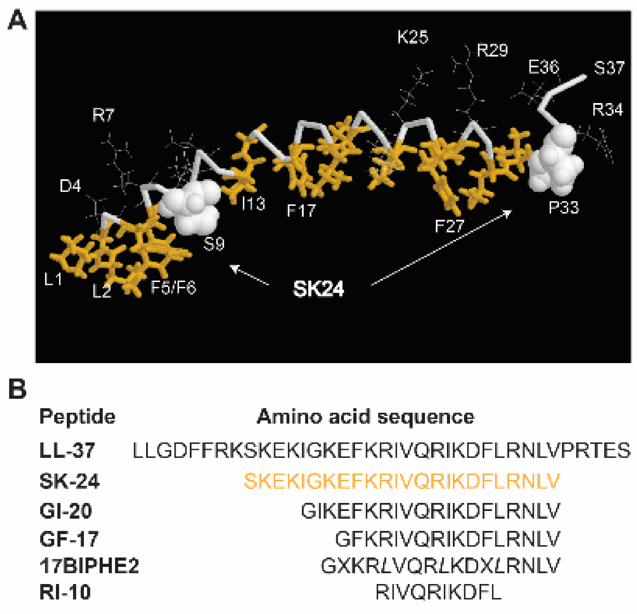 Pharmaceuticals 14 01245 g001