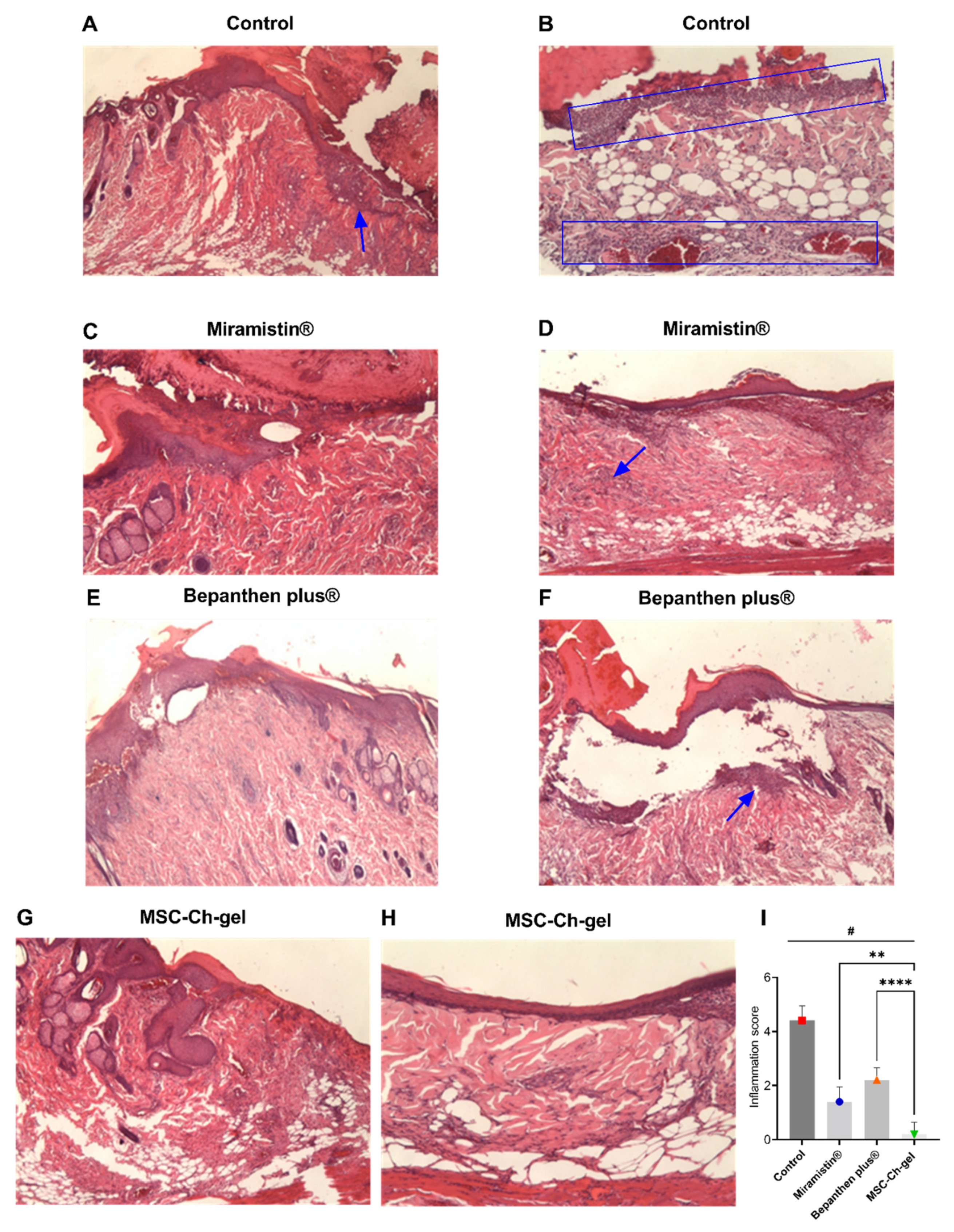 Pharmaceuticals 14 01263 g007
