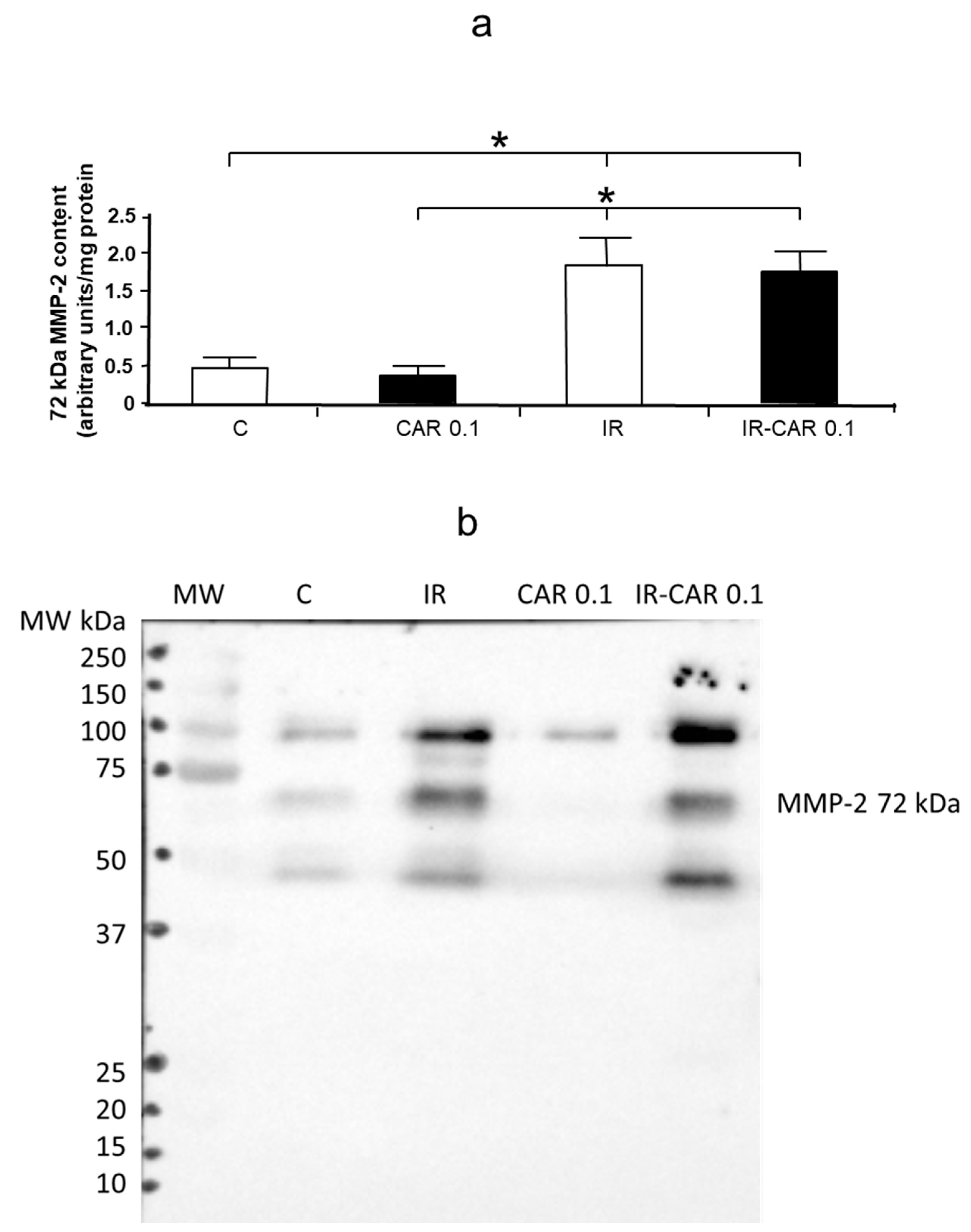 Pharmaceuticals 14 01276 g005
