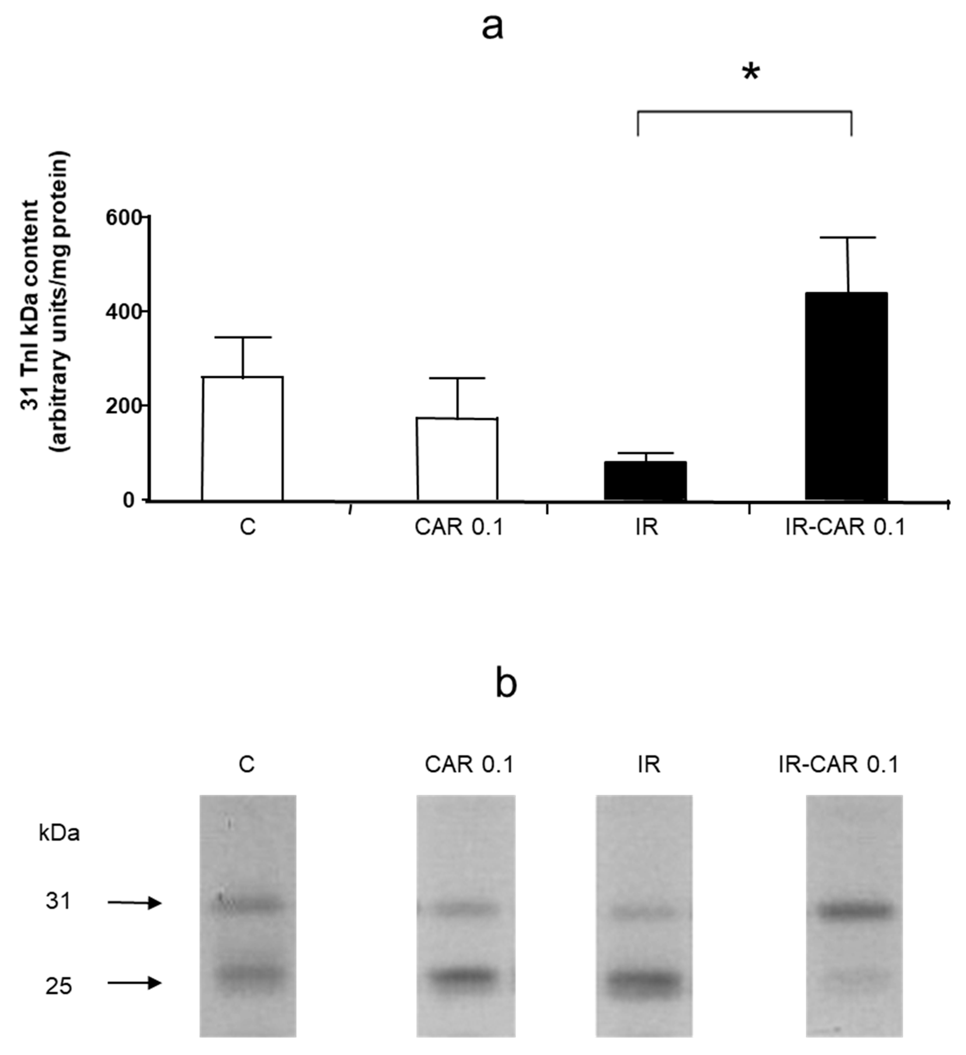 Pharmaceuticals 14 01276 g006a